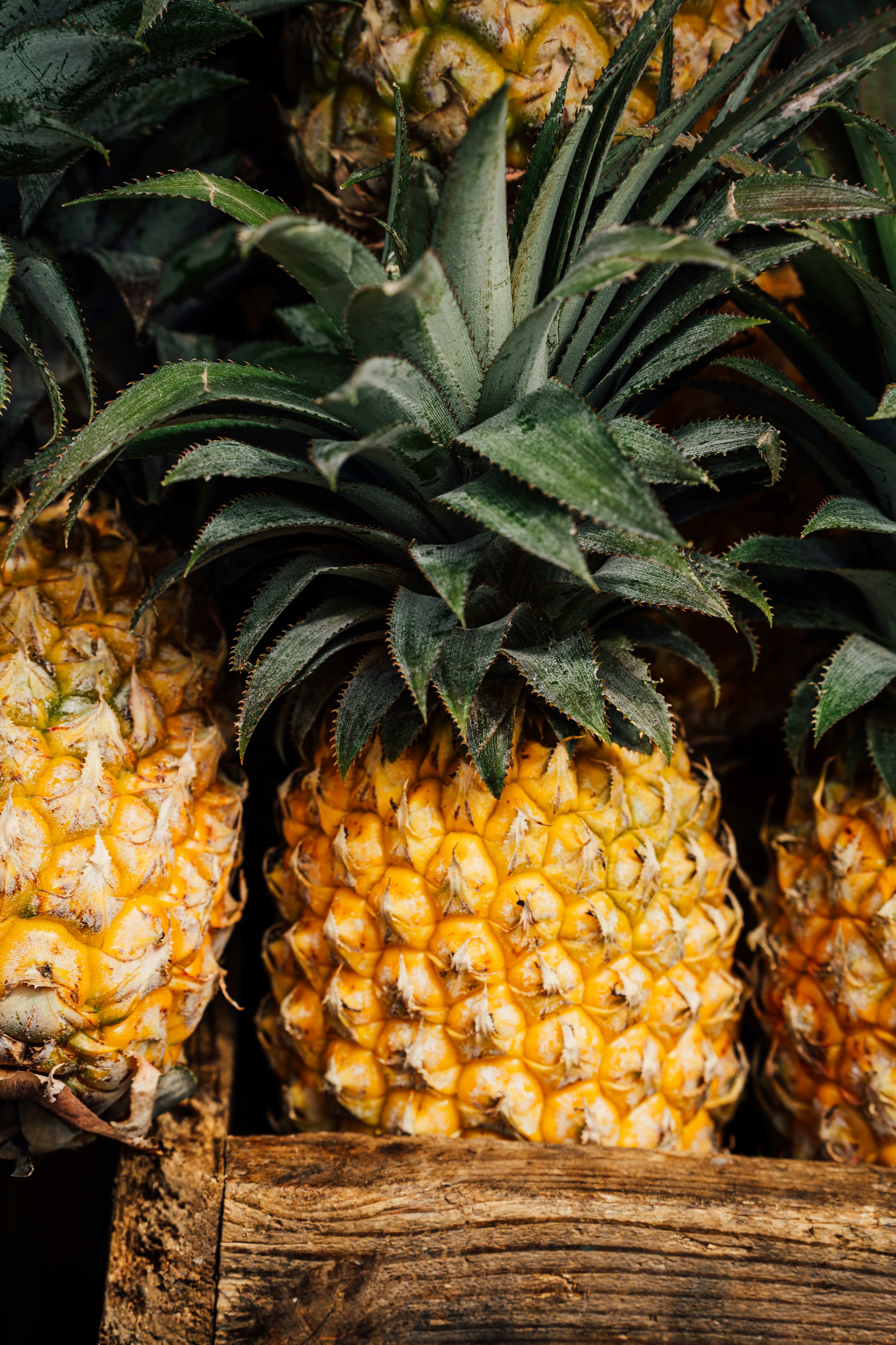 Photo by benjamin_photo_lab