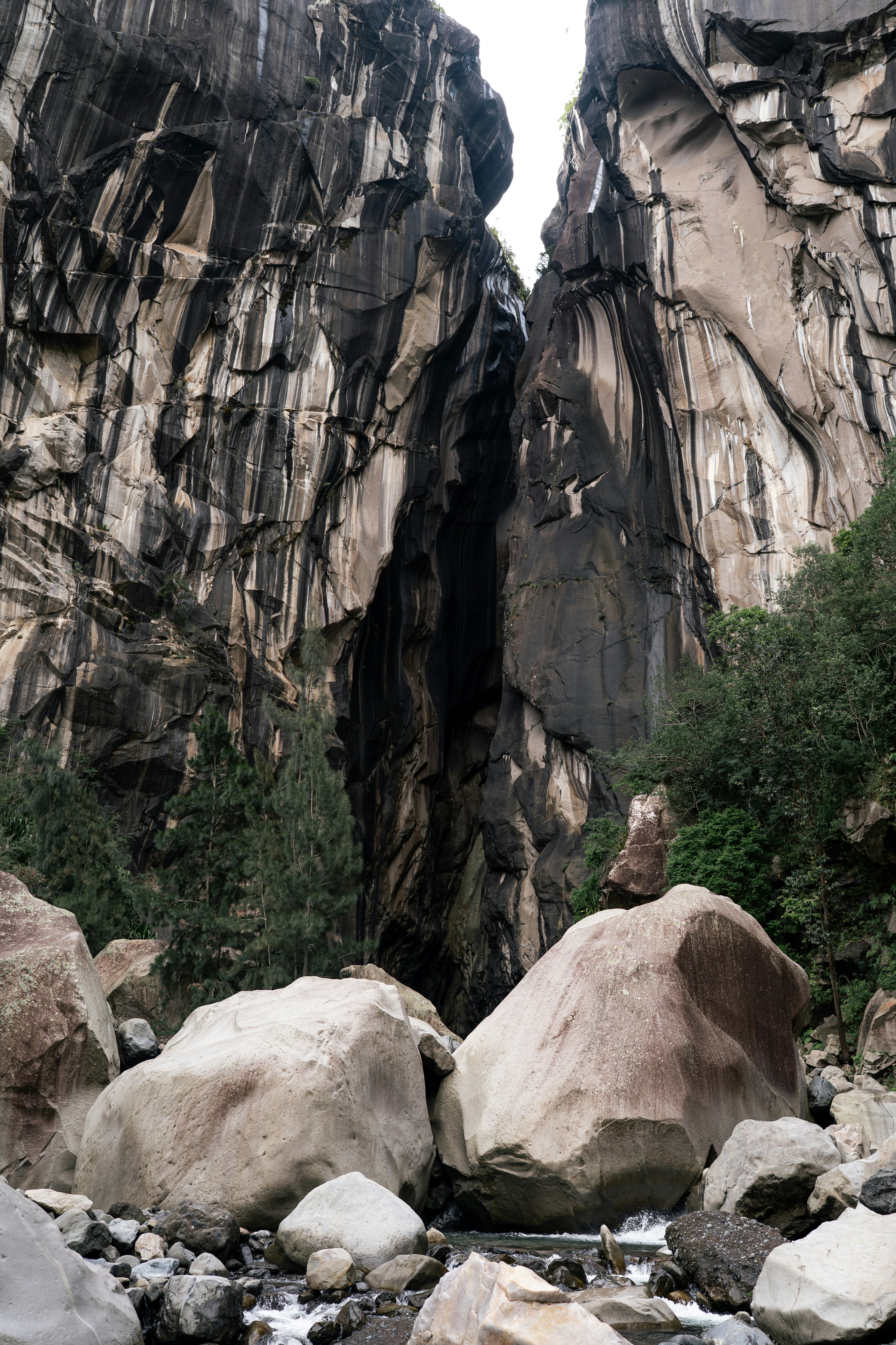 Photo by benjamin_photo_lab