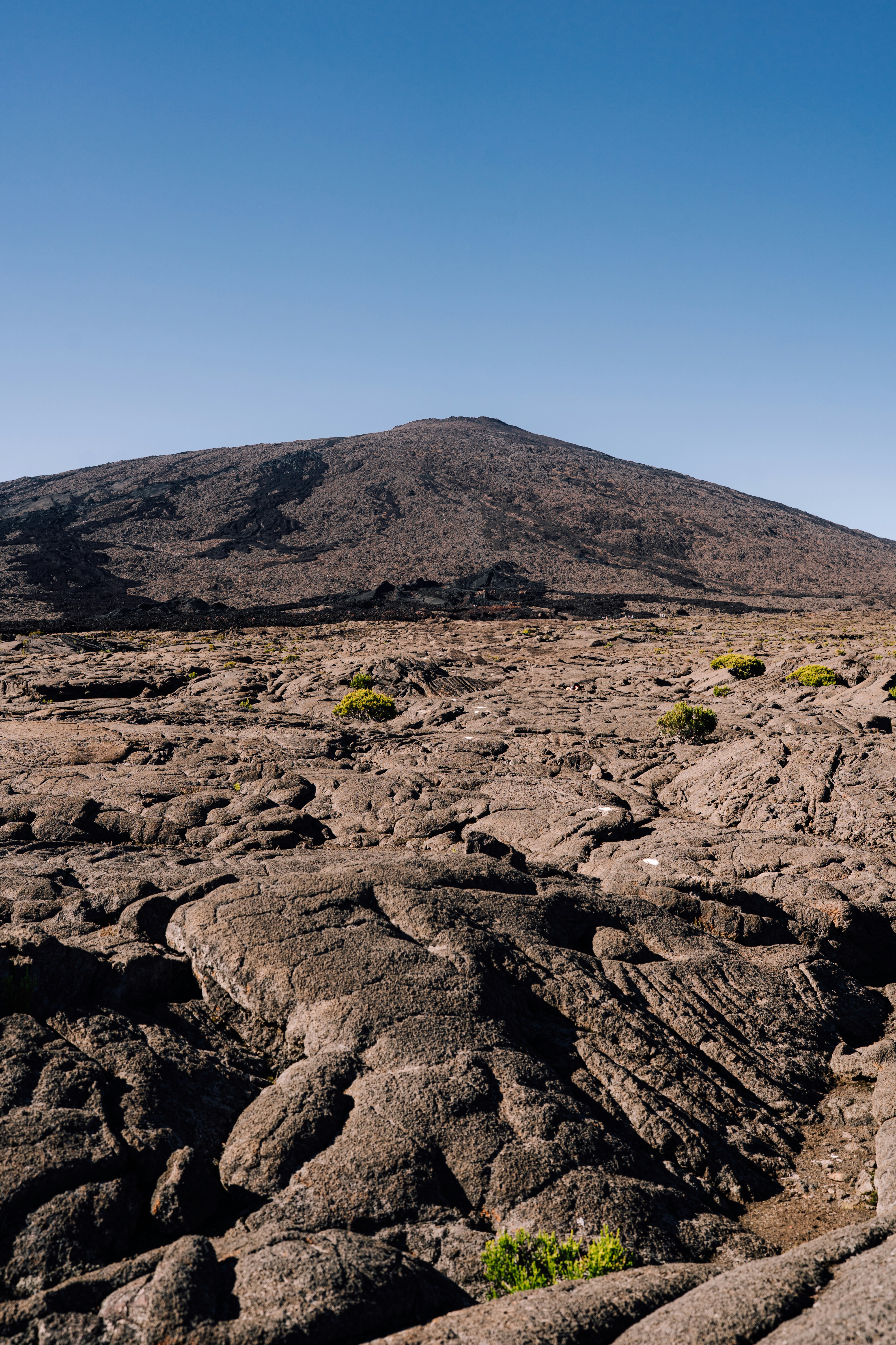 Photo by benjamin_photo_lab