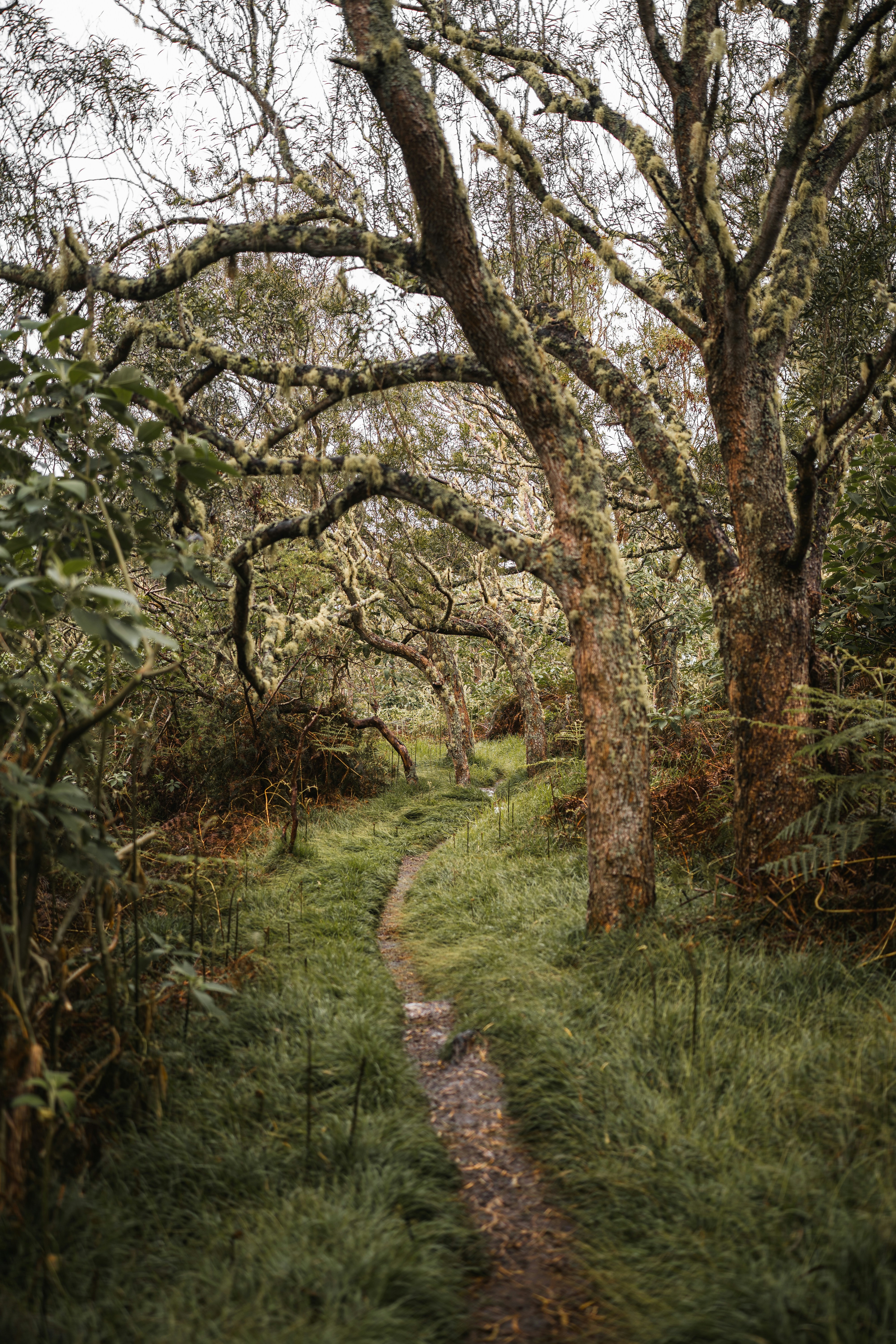 Photo by benjamin_photo_lab