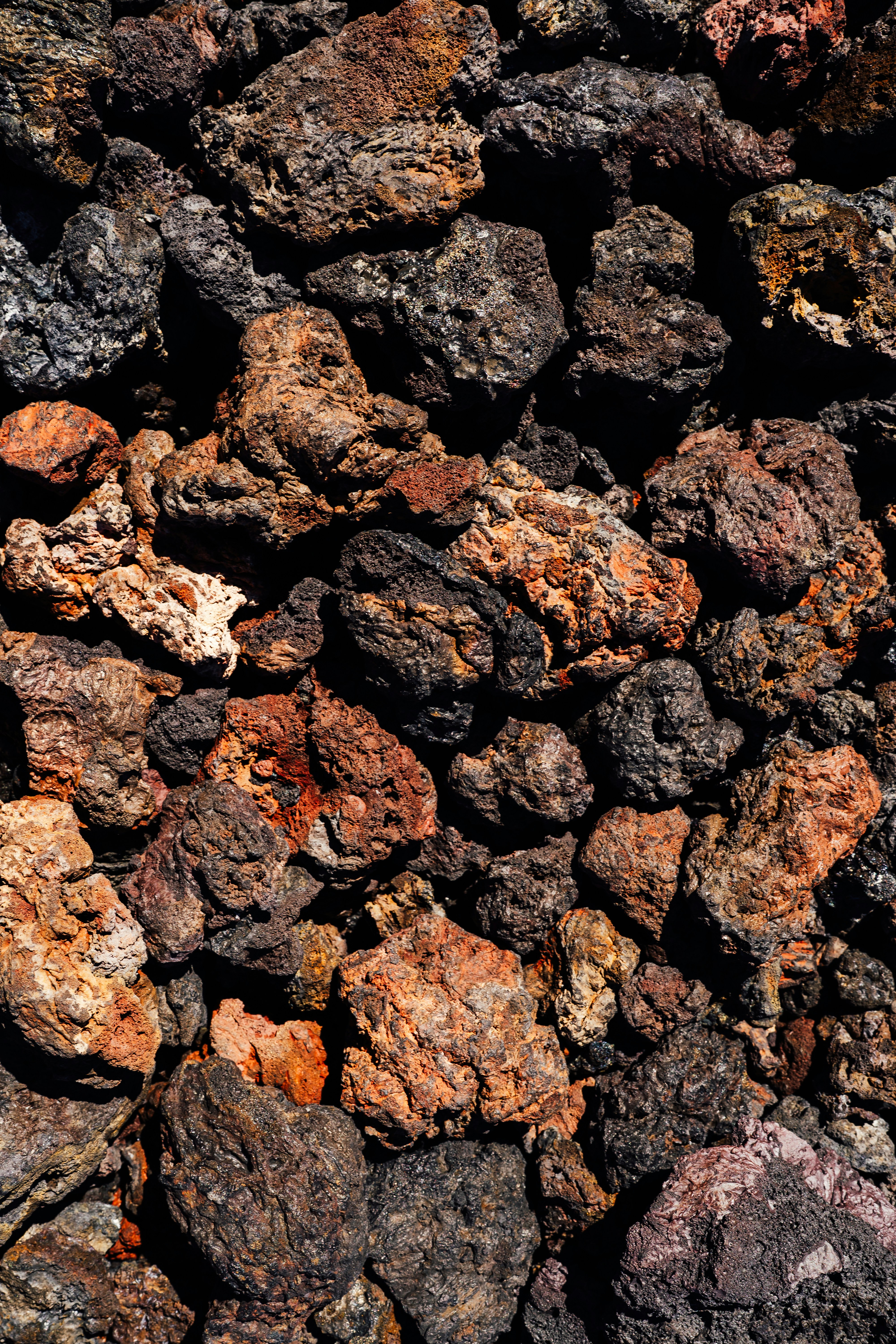 Photo by benjamin_photo_lab