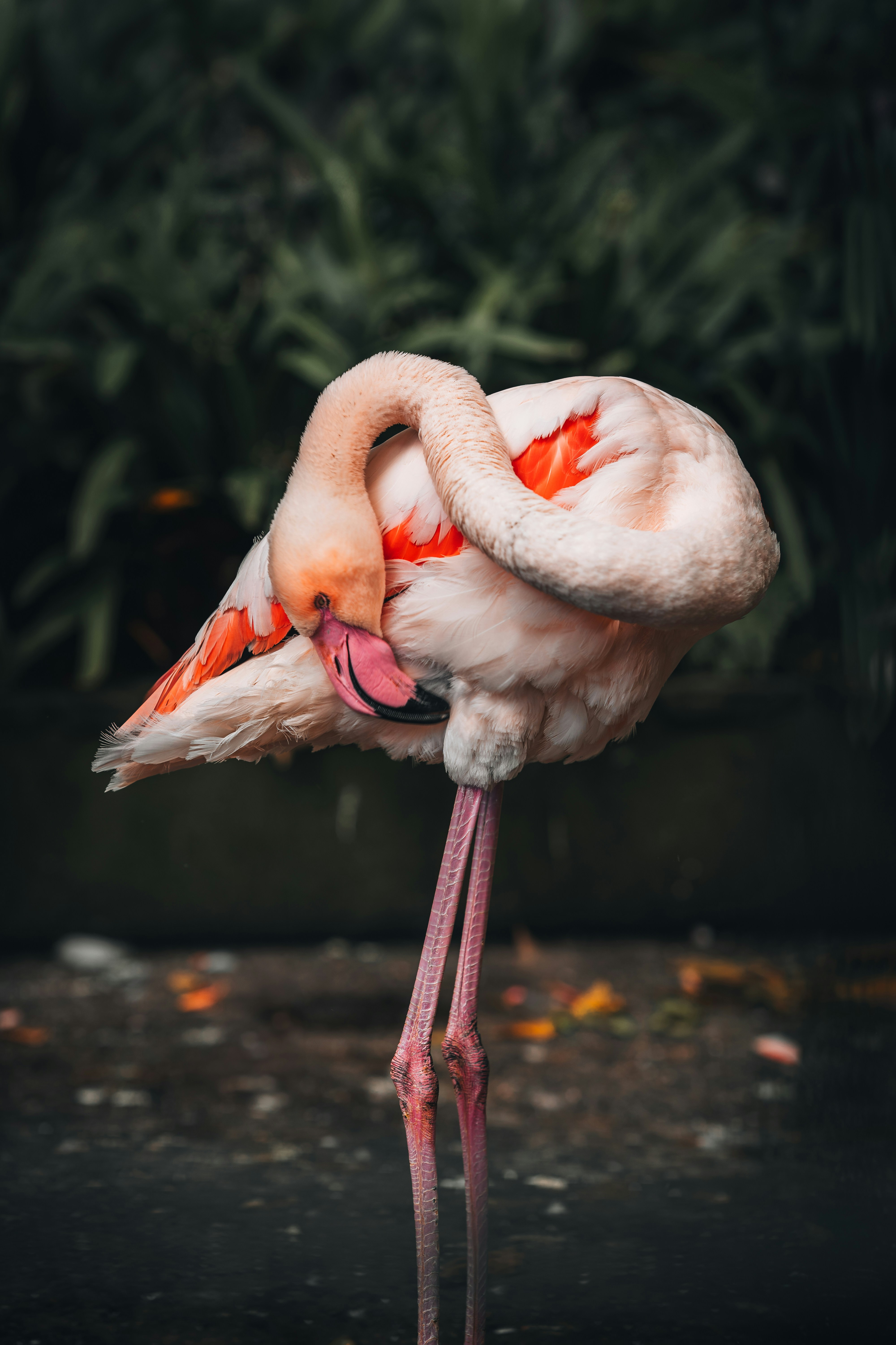 Photo by benjamin_photo_lab