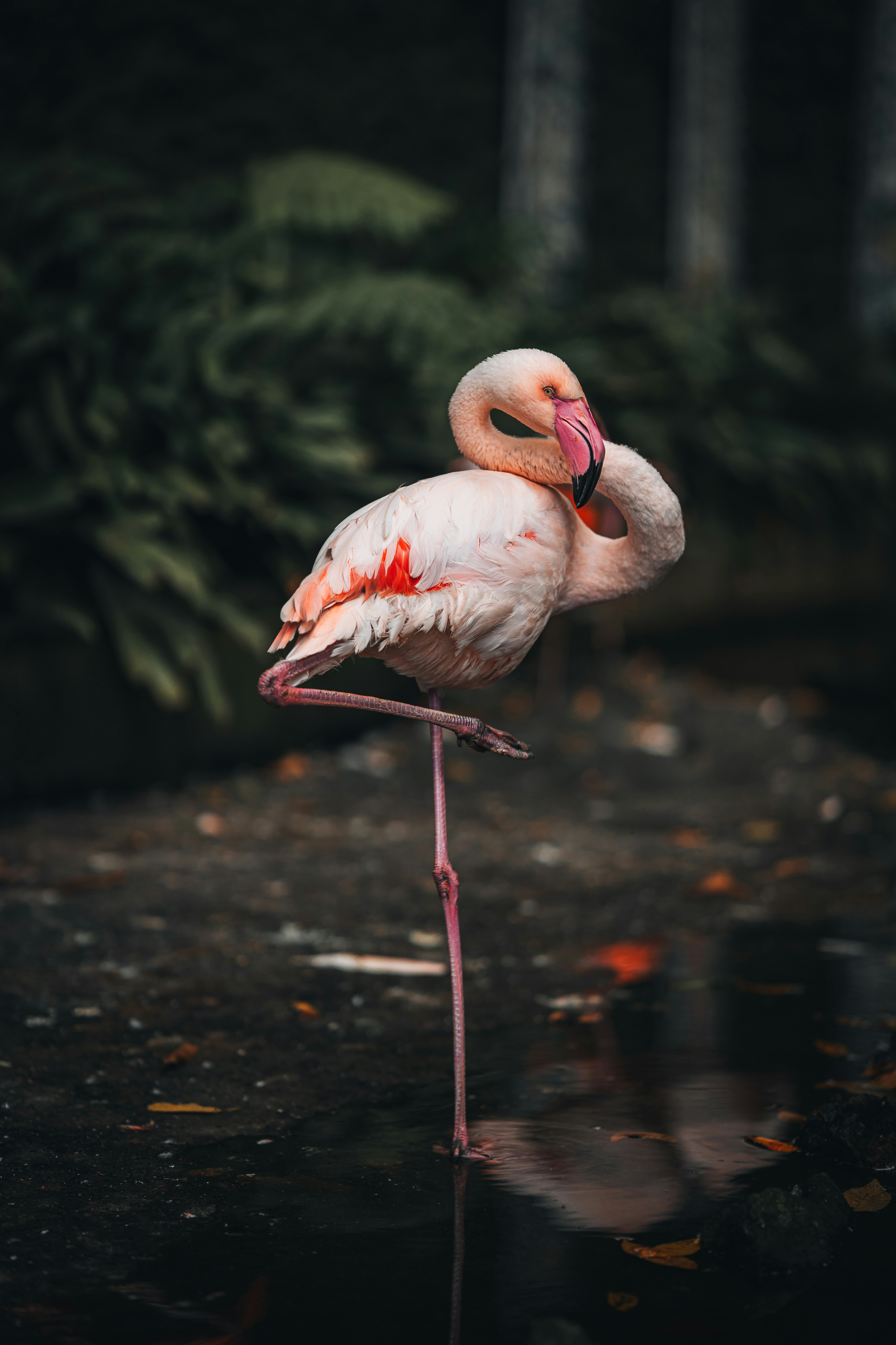 Photo by benjamin_photo_lab