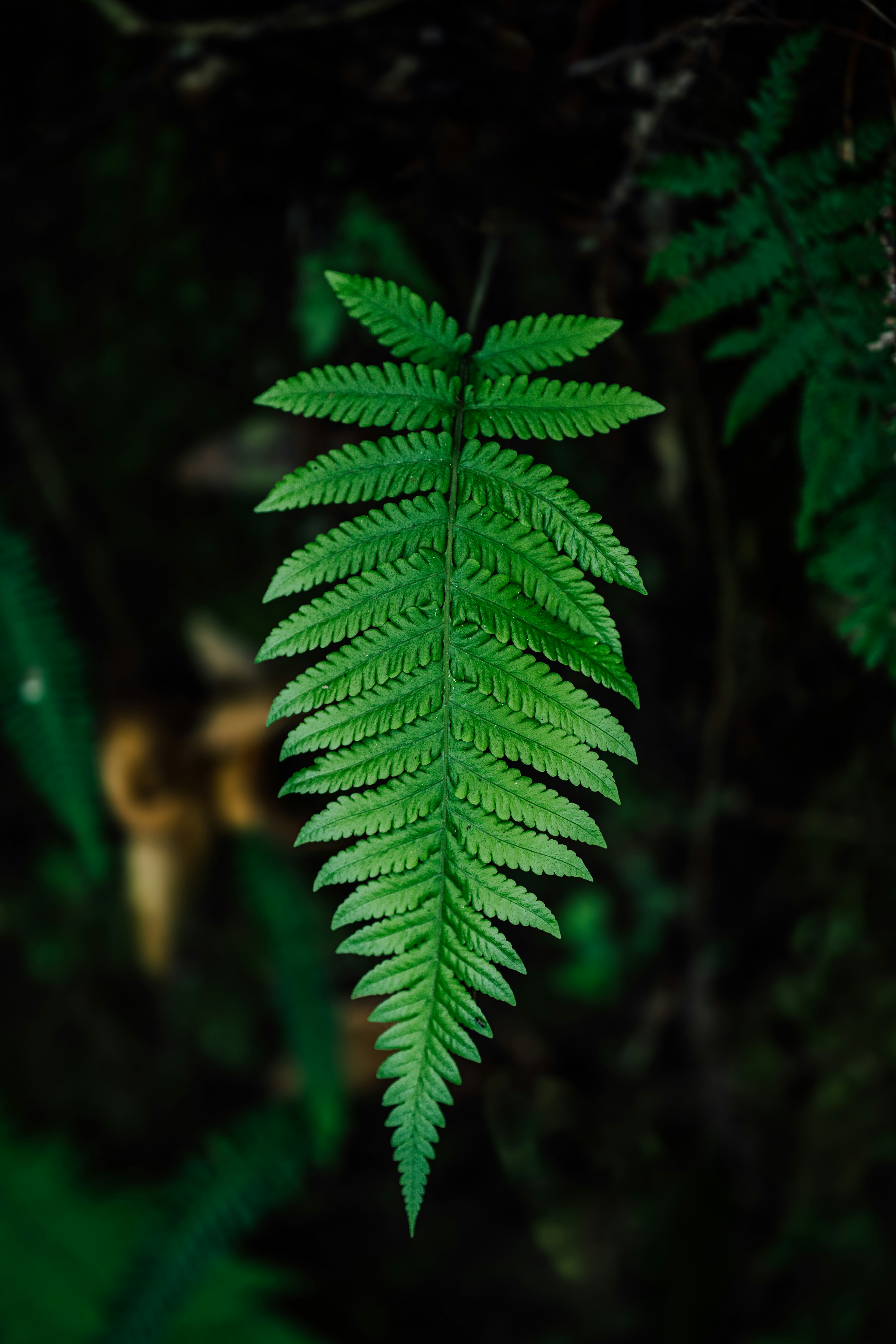 Photo by benjamin_photo_lab