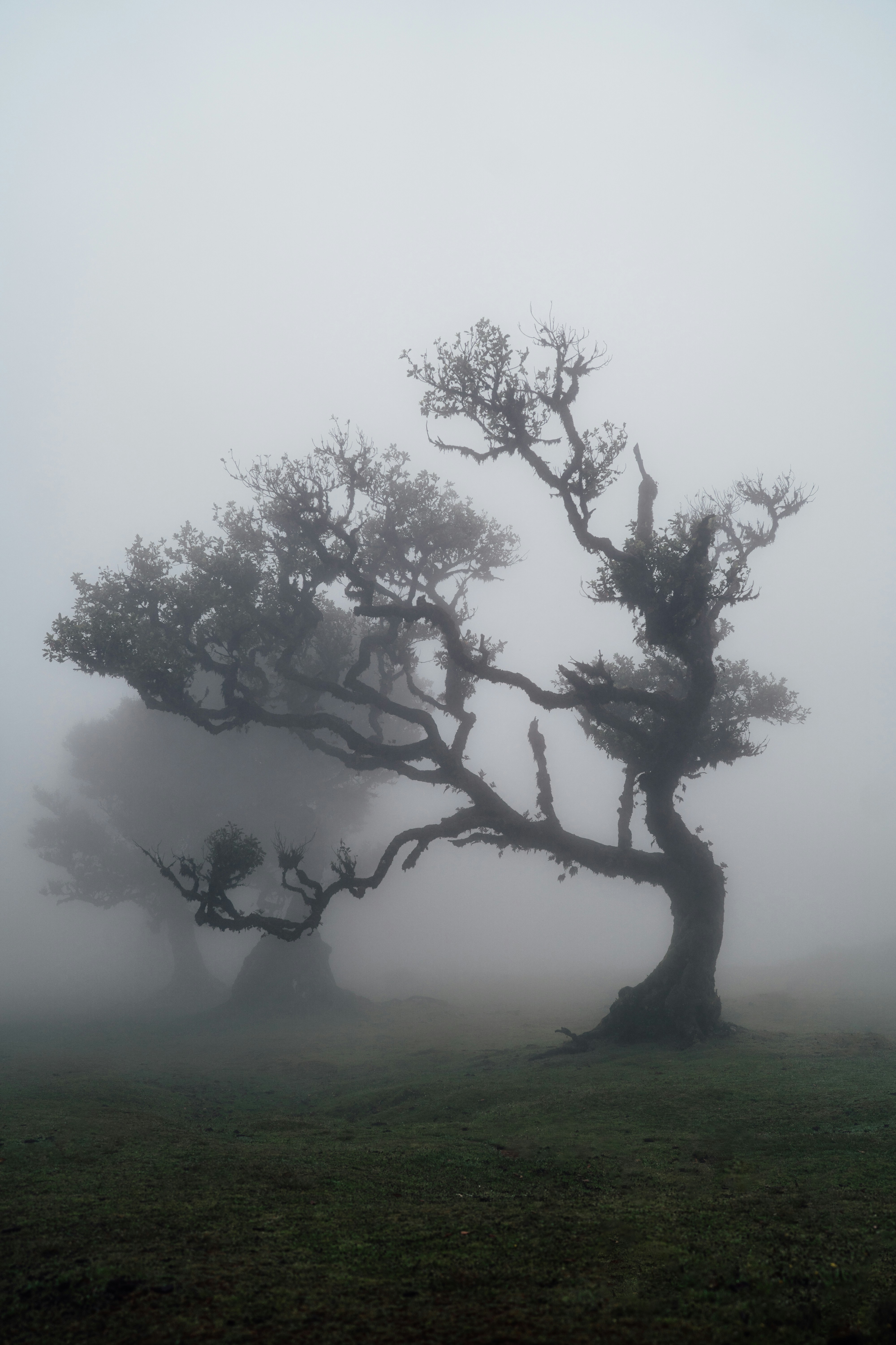 Photo by benjamin_photo_lab