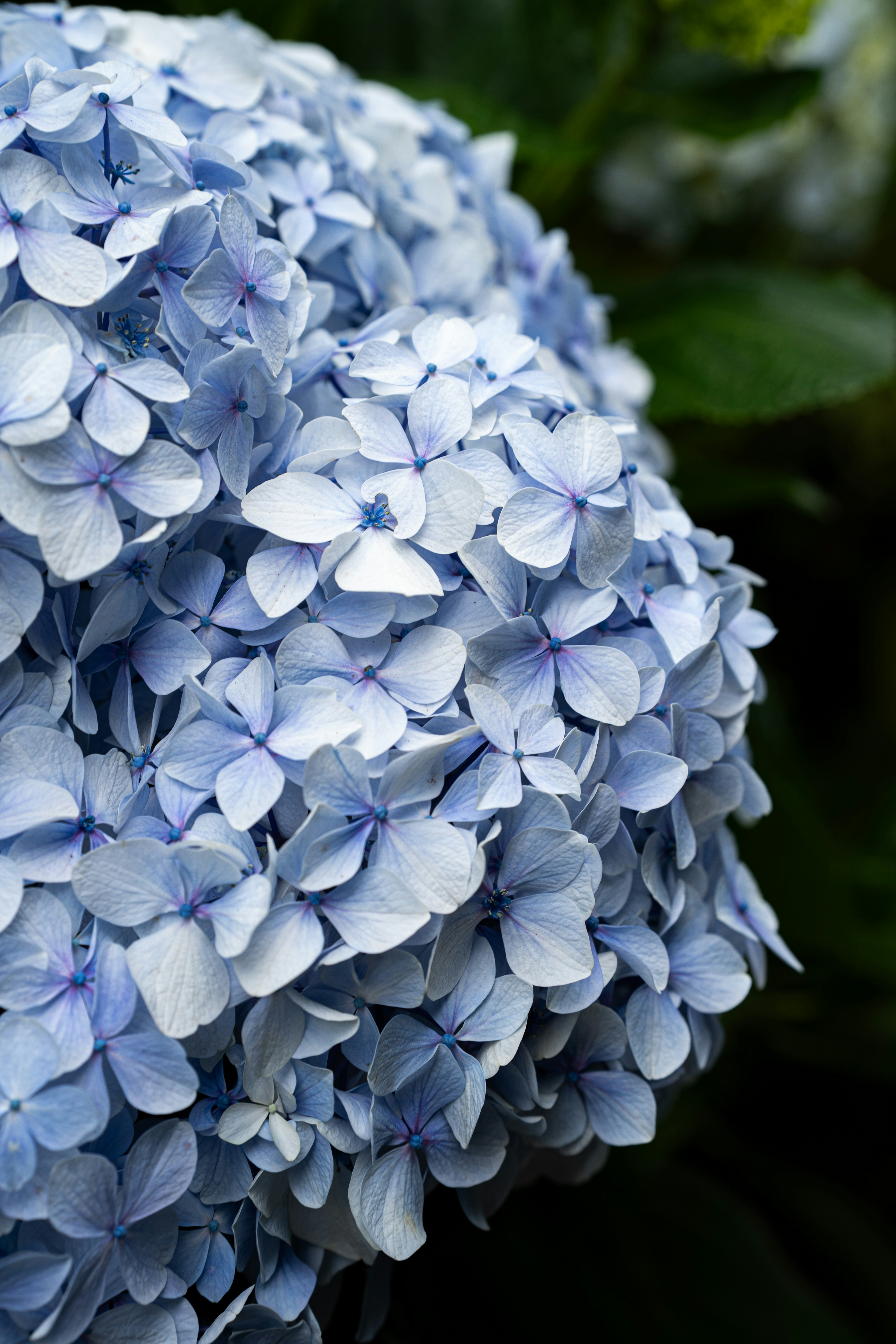 Photo by benjamin_photo_lab