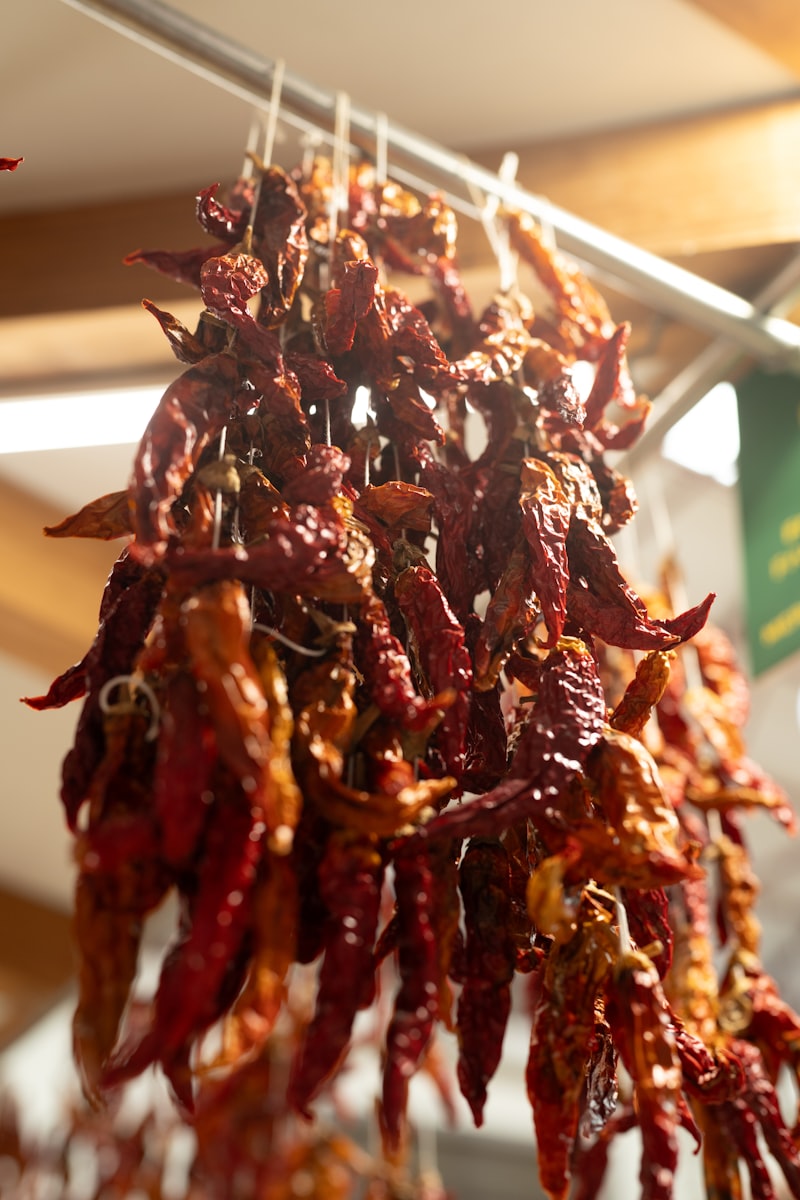 Guntur Sannam S4 dried red chillies — stemless, export-grade, Andhra Pradesh