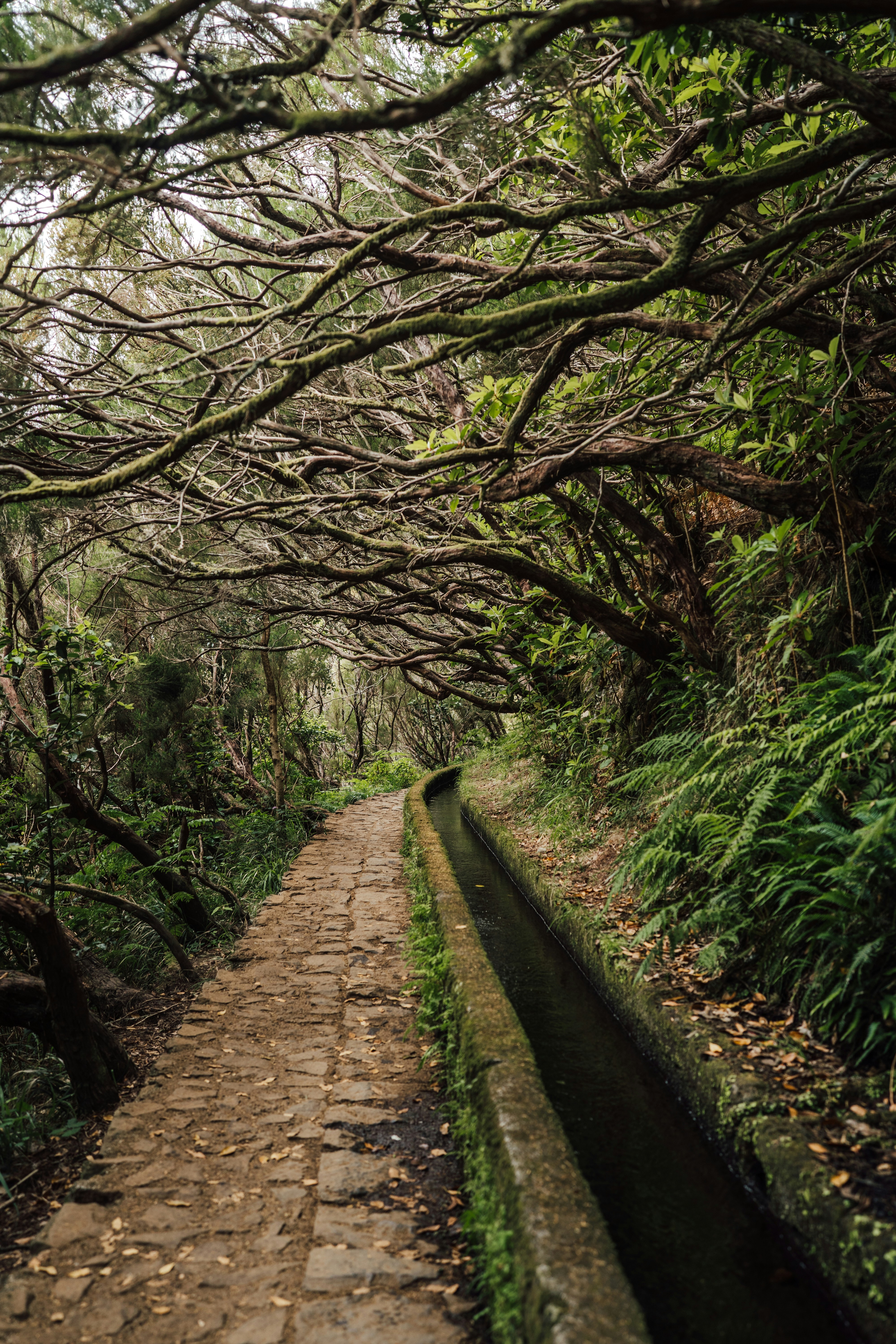 Photo by benjamin_photo_lab