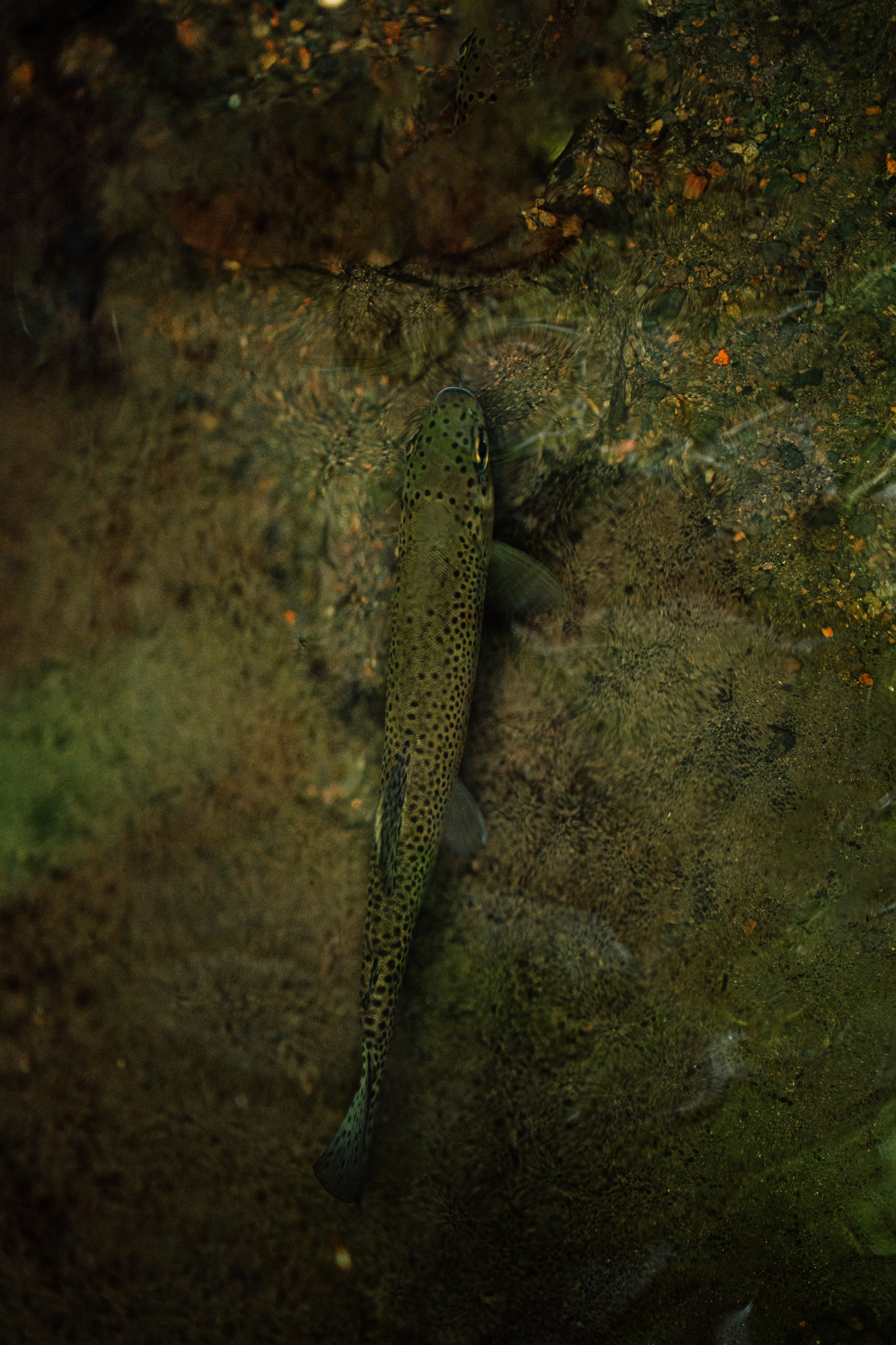 Photo by benjamin_photo_lab