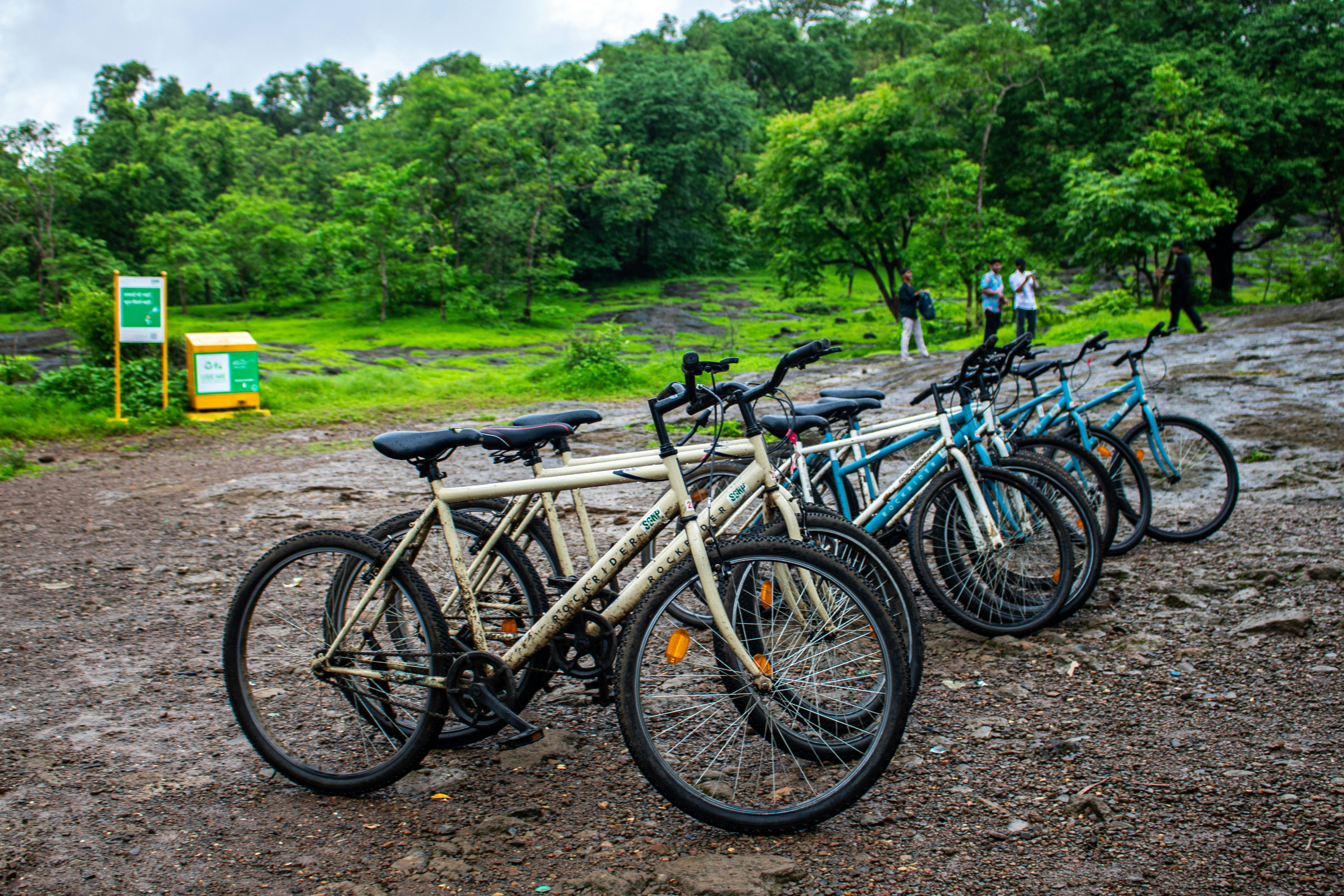 Bikes are parked in a lush, green forest.