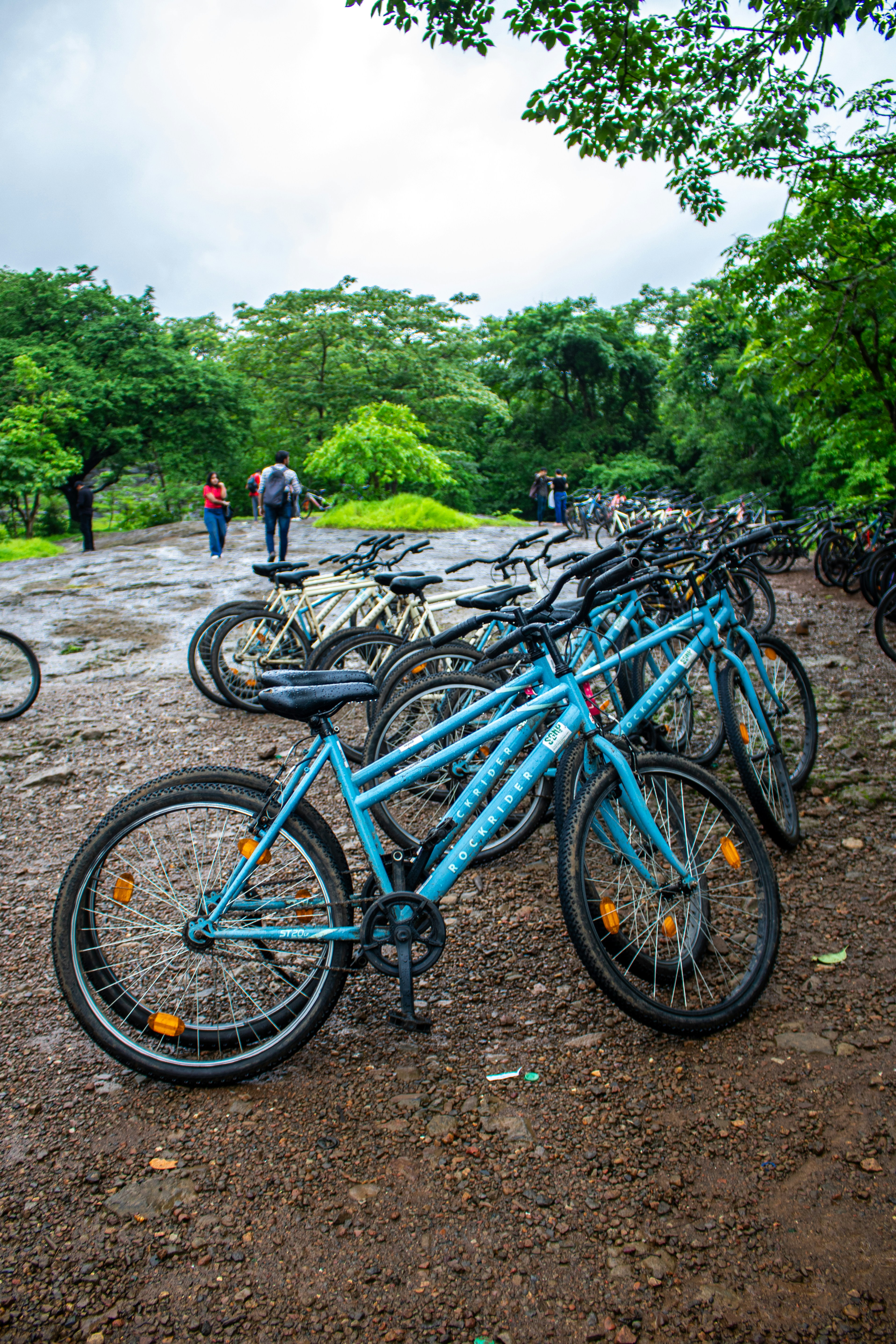 Bicycles parked near a group of people.