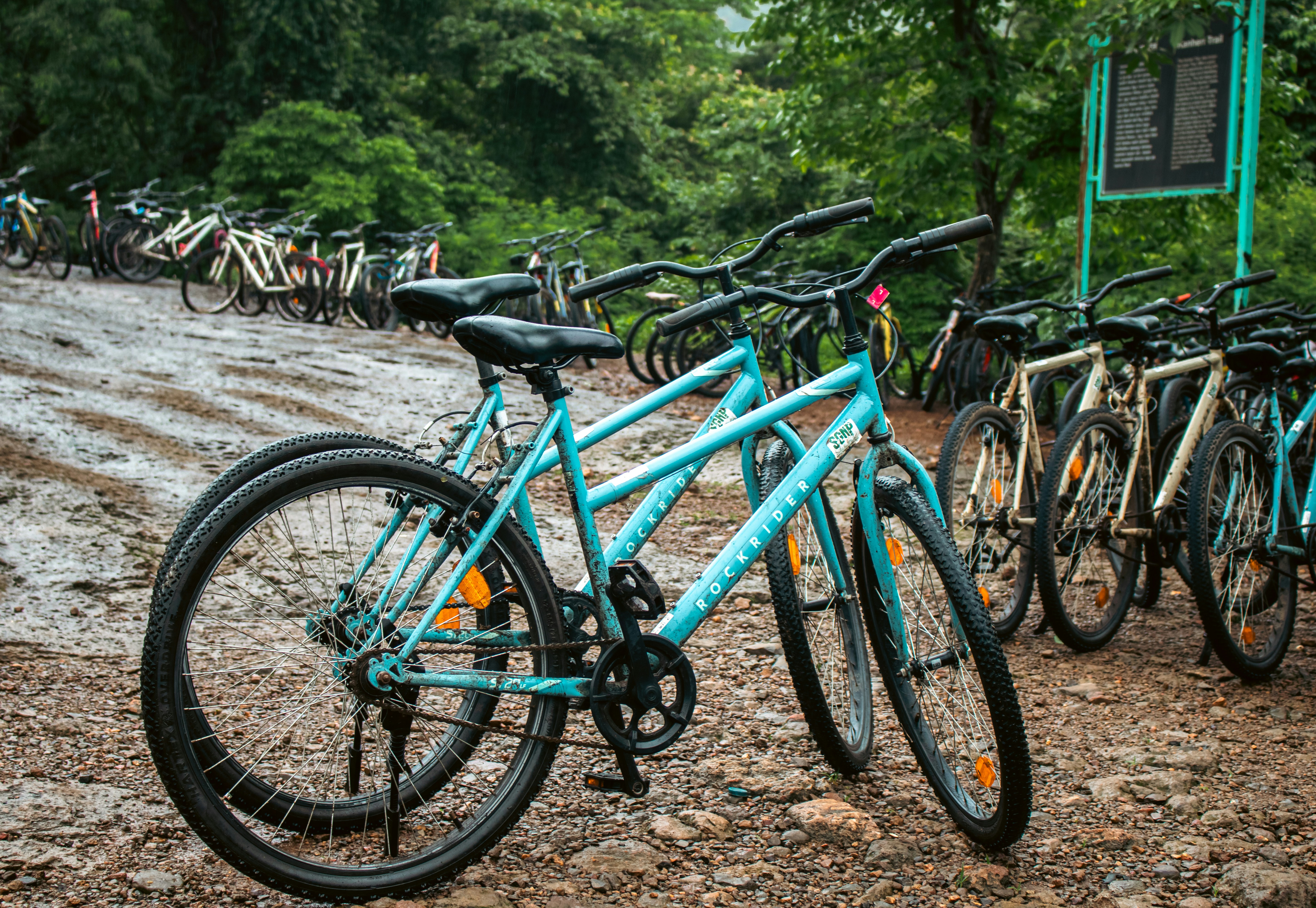 Bikes are lined up, ready for a ride.