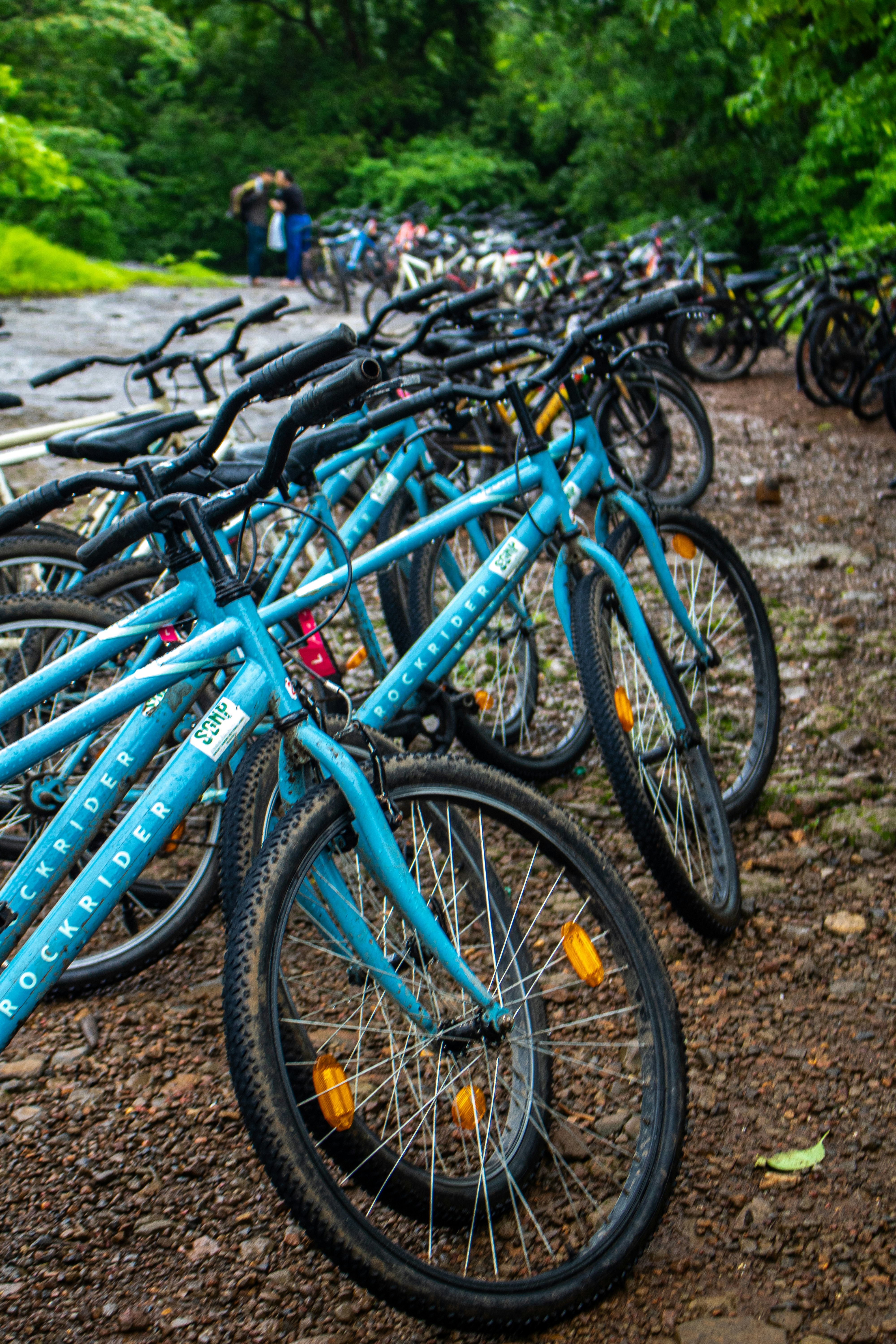 Blue bicycles are parked in a row.