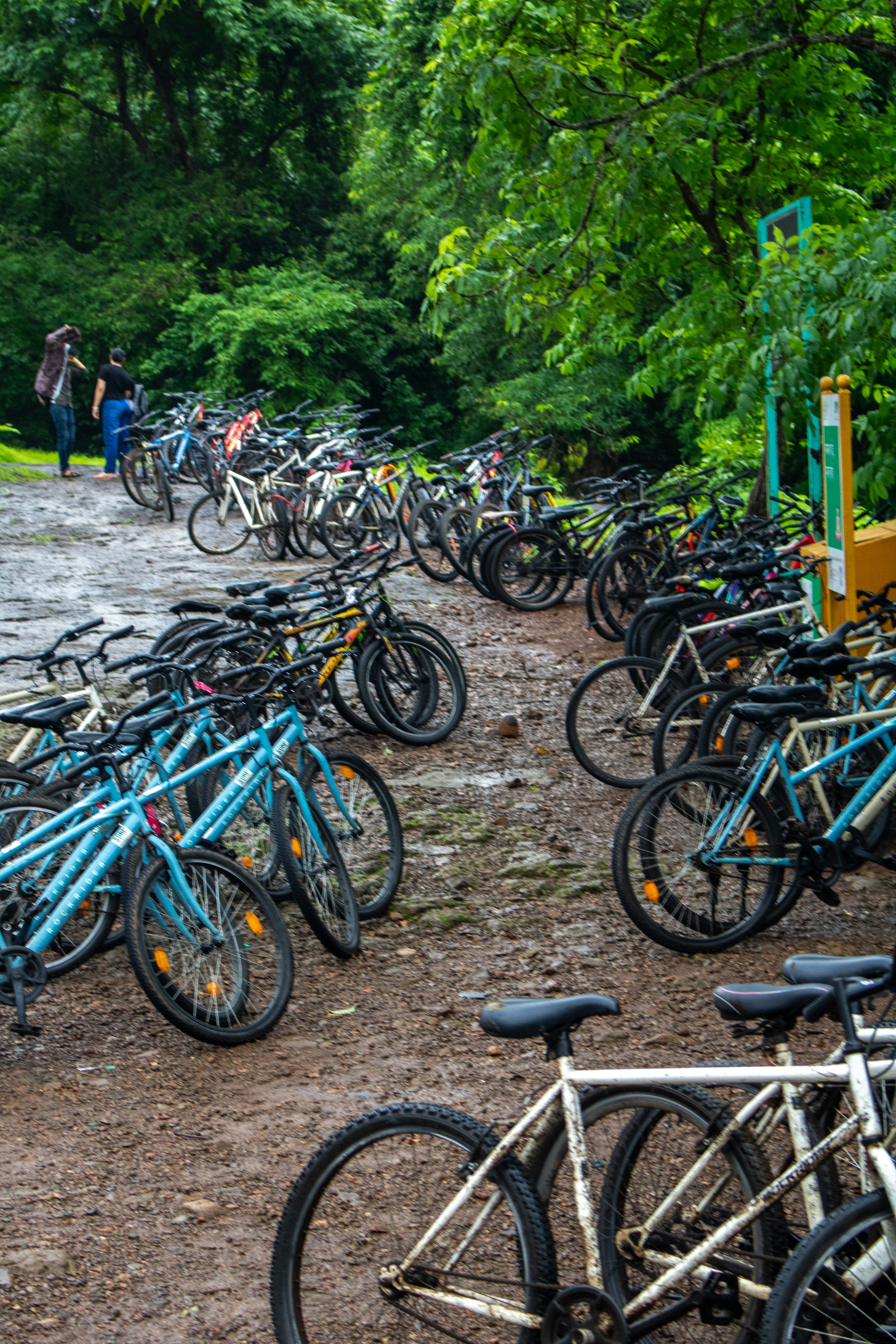 Bicycles are parked along a path in a forest.