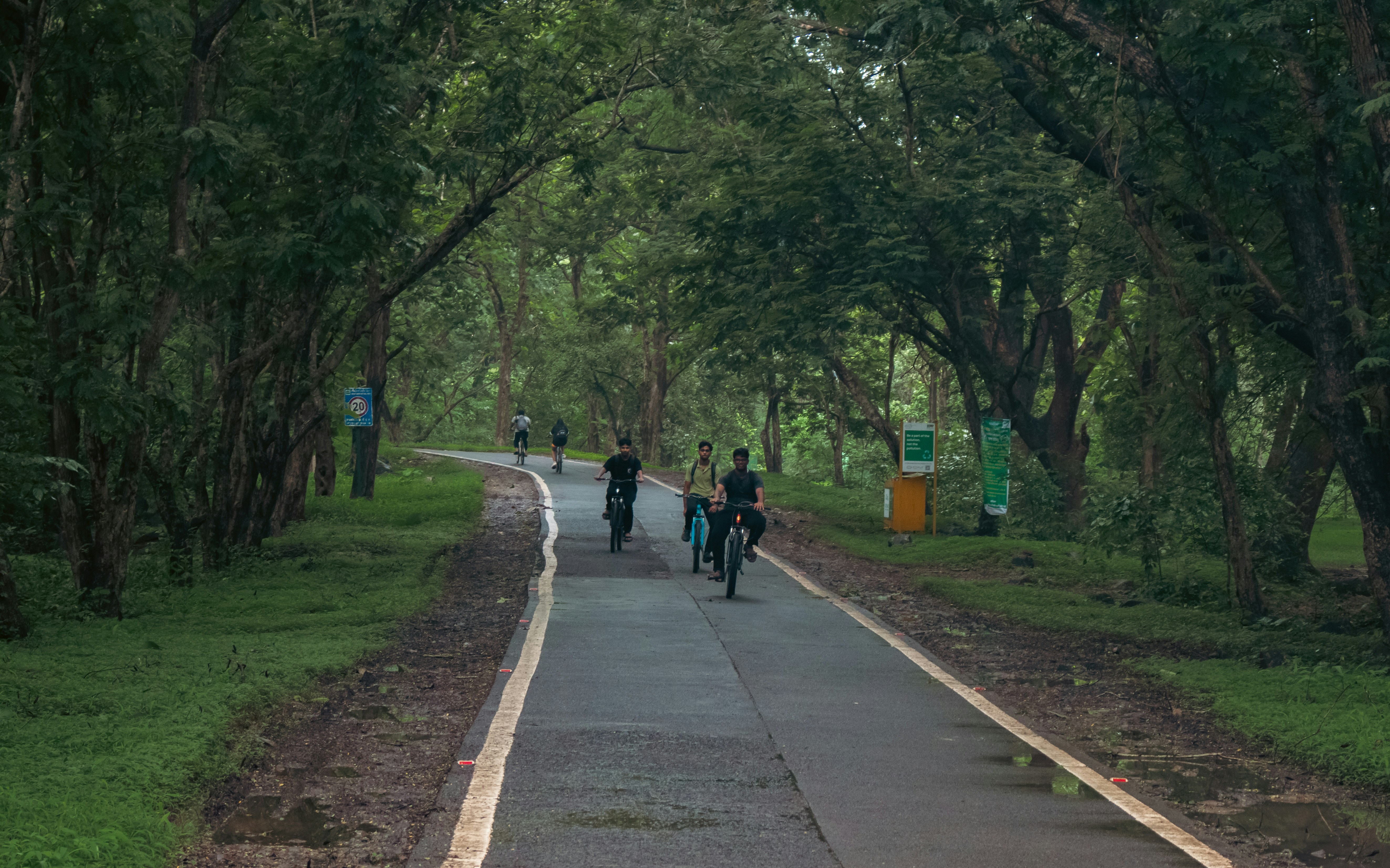 Cyclists on a scenic jungle trail