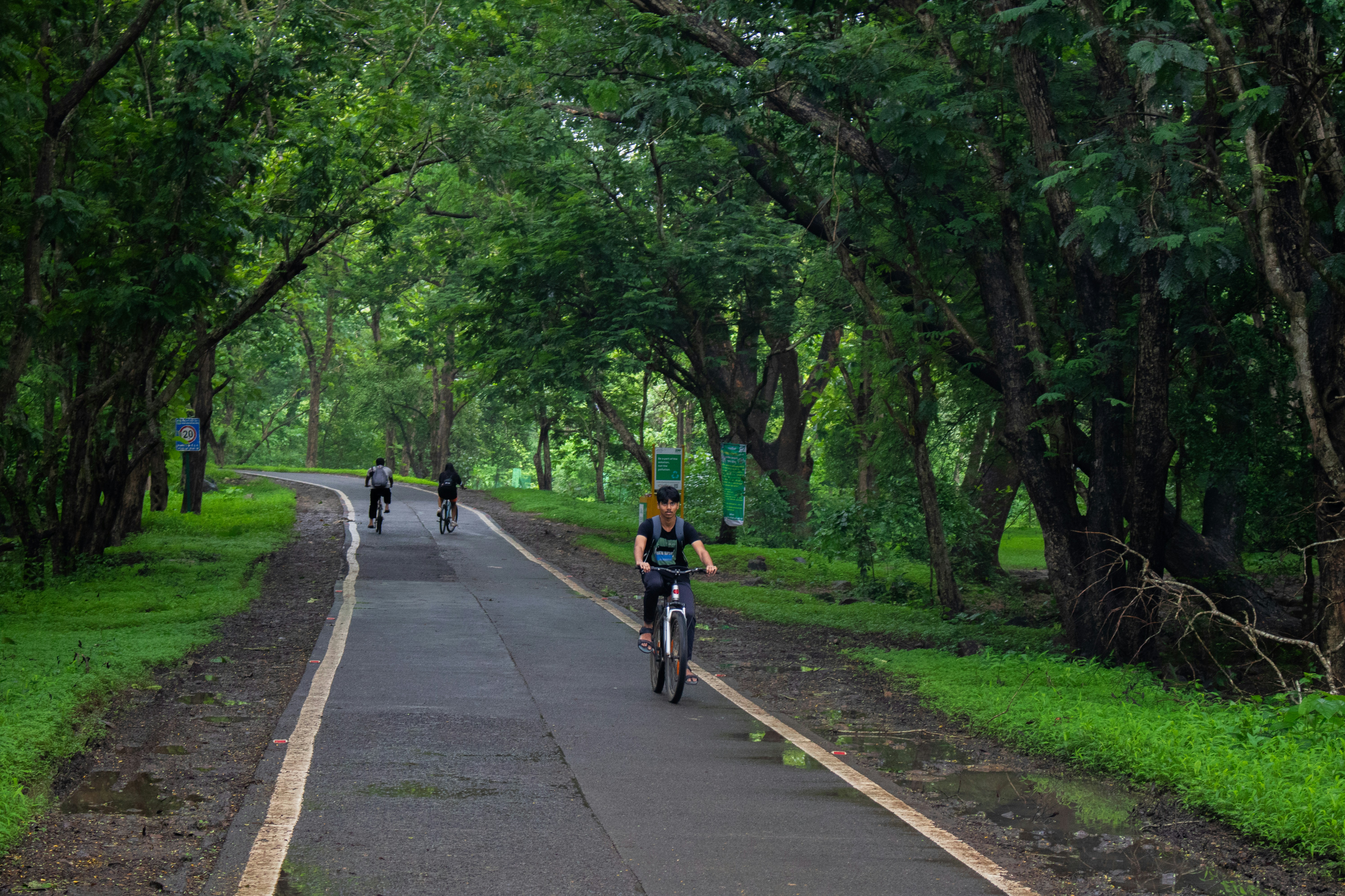 Cyclists riding down a lush jungle road