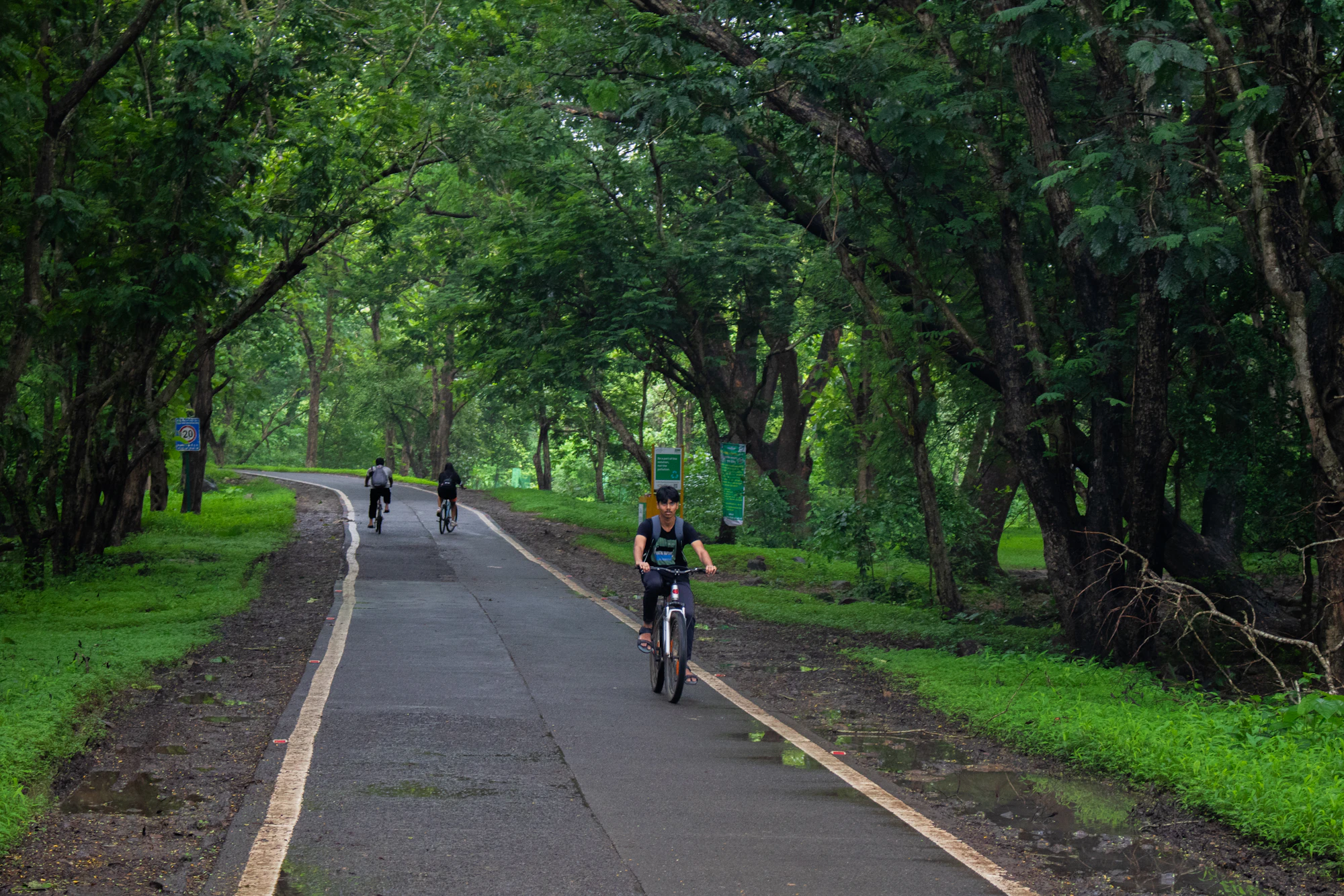 Cyclists riding along a tree-lined road in Maharashtra, used as temporary development photography.
