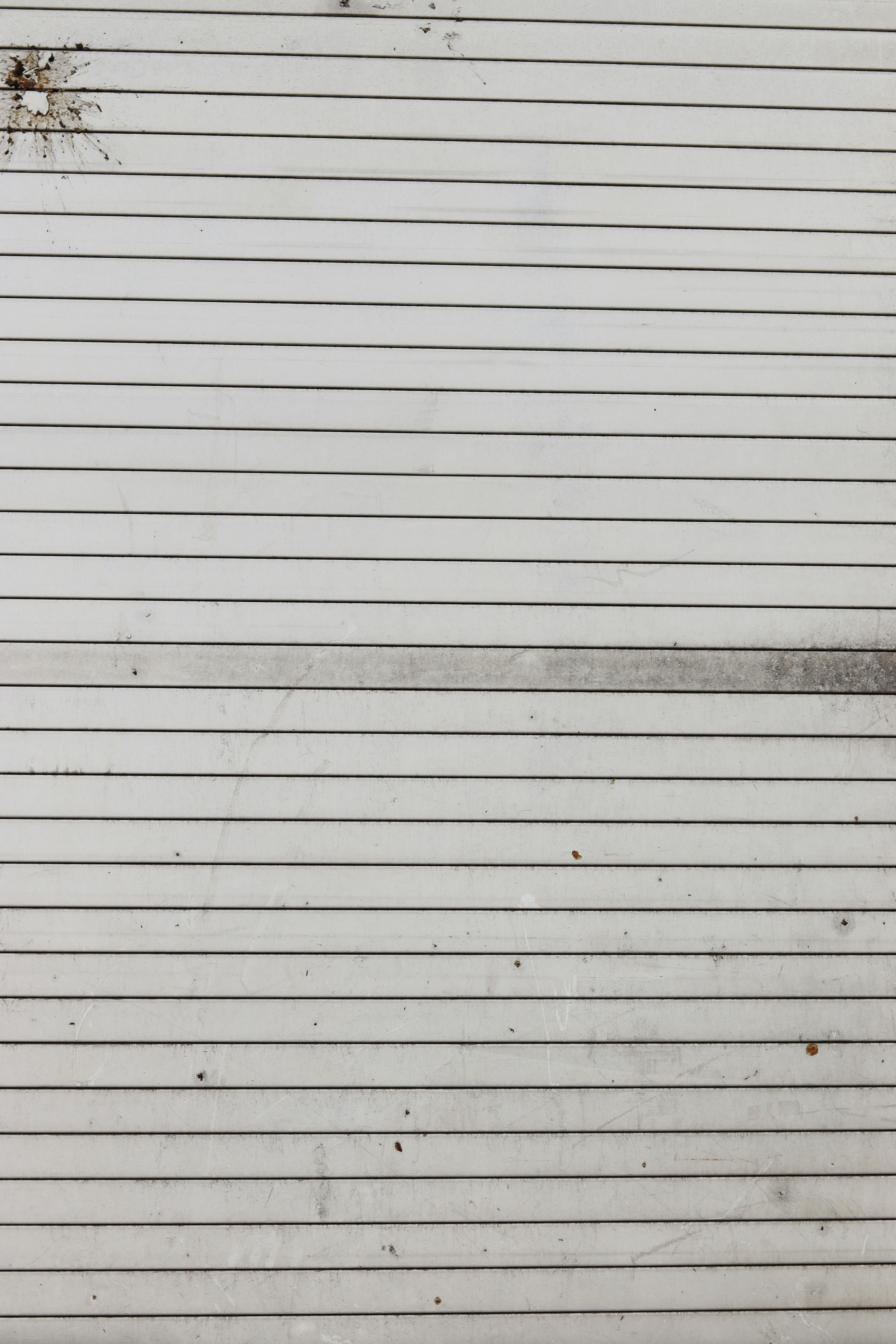 Photo by rodrigotypo