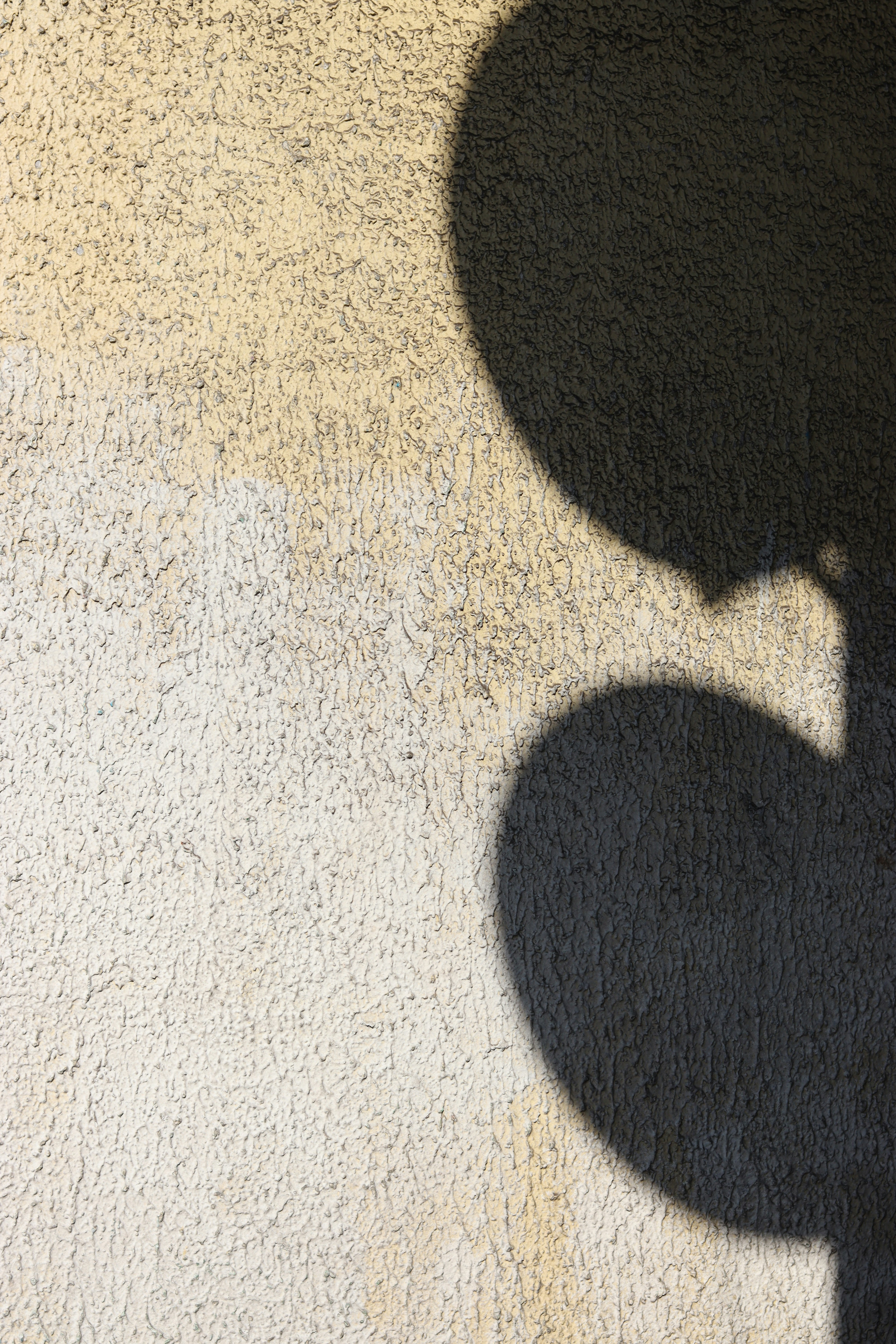 Photo by rodrigotypo