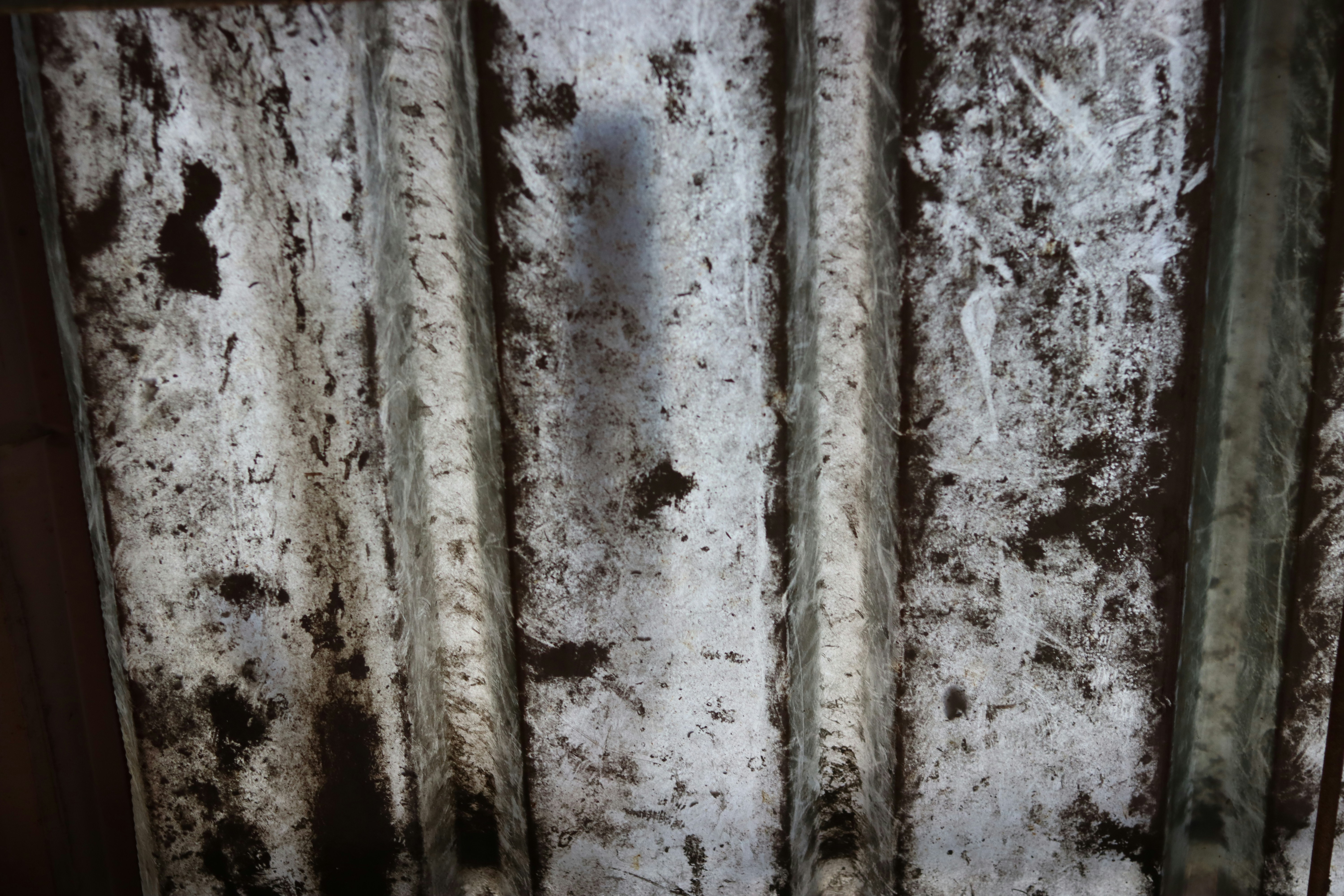 Textured, decaying material with dark areas.