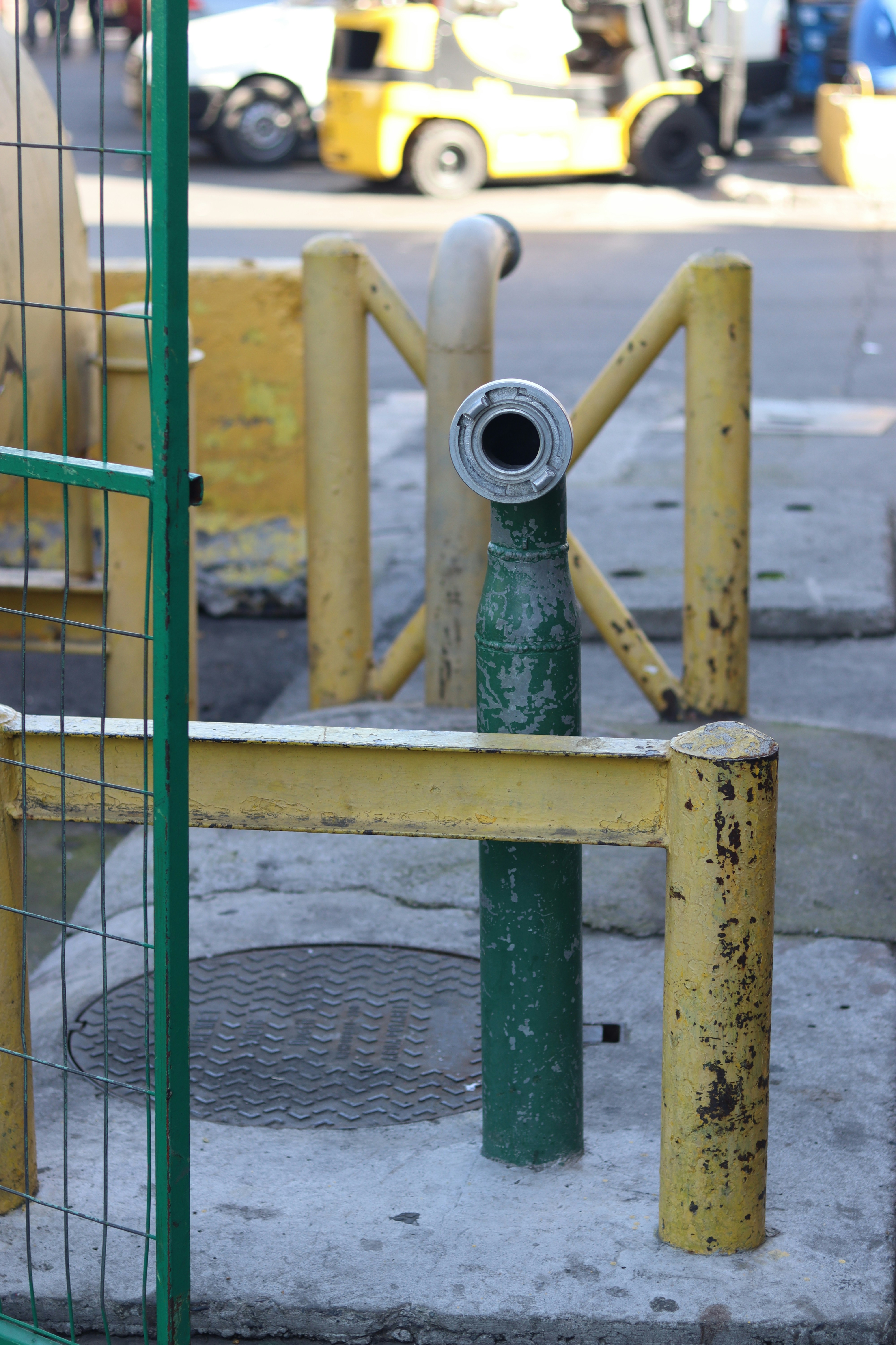 Photo by rodrigotypo