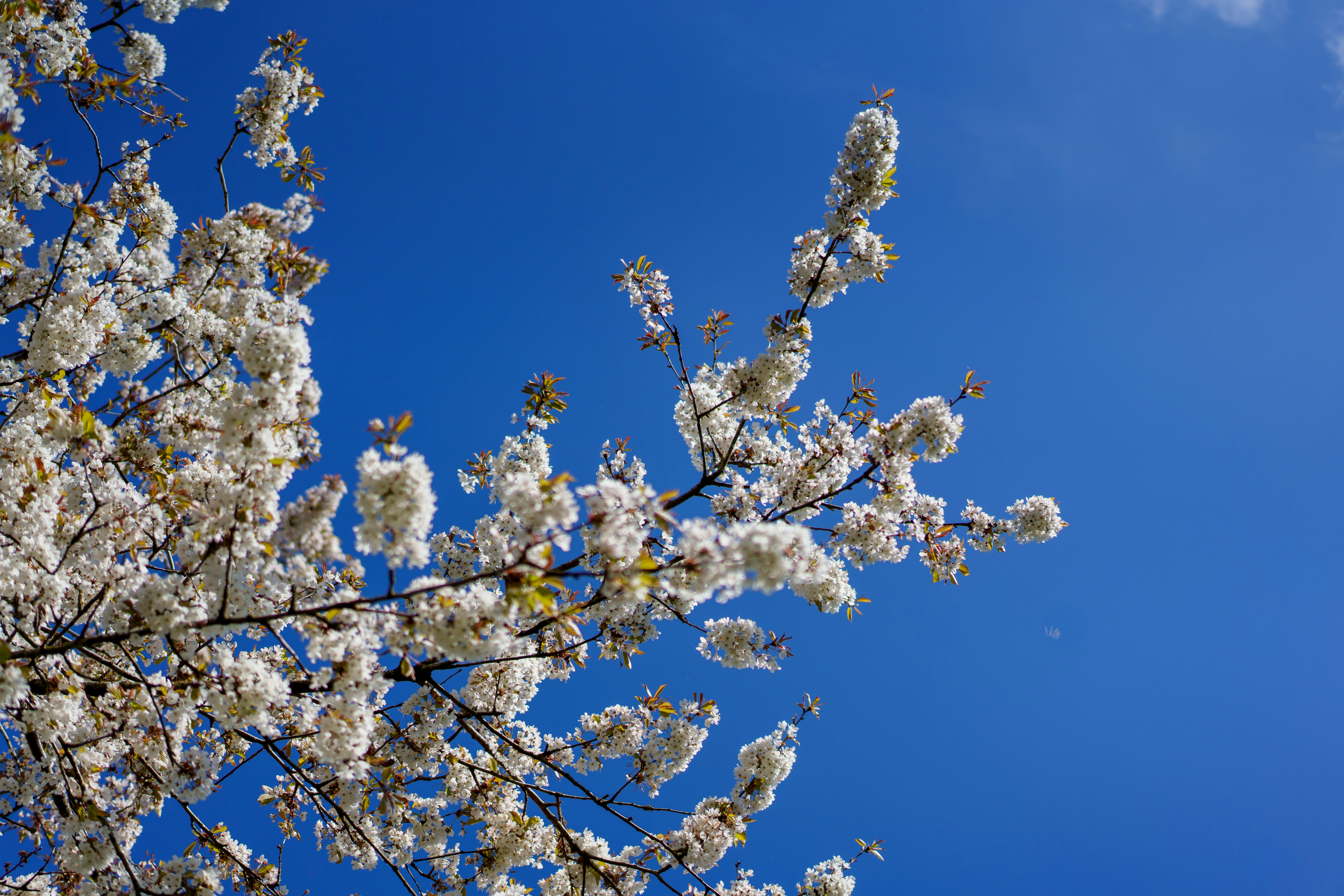 Photo by paulkennymcgrath