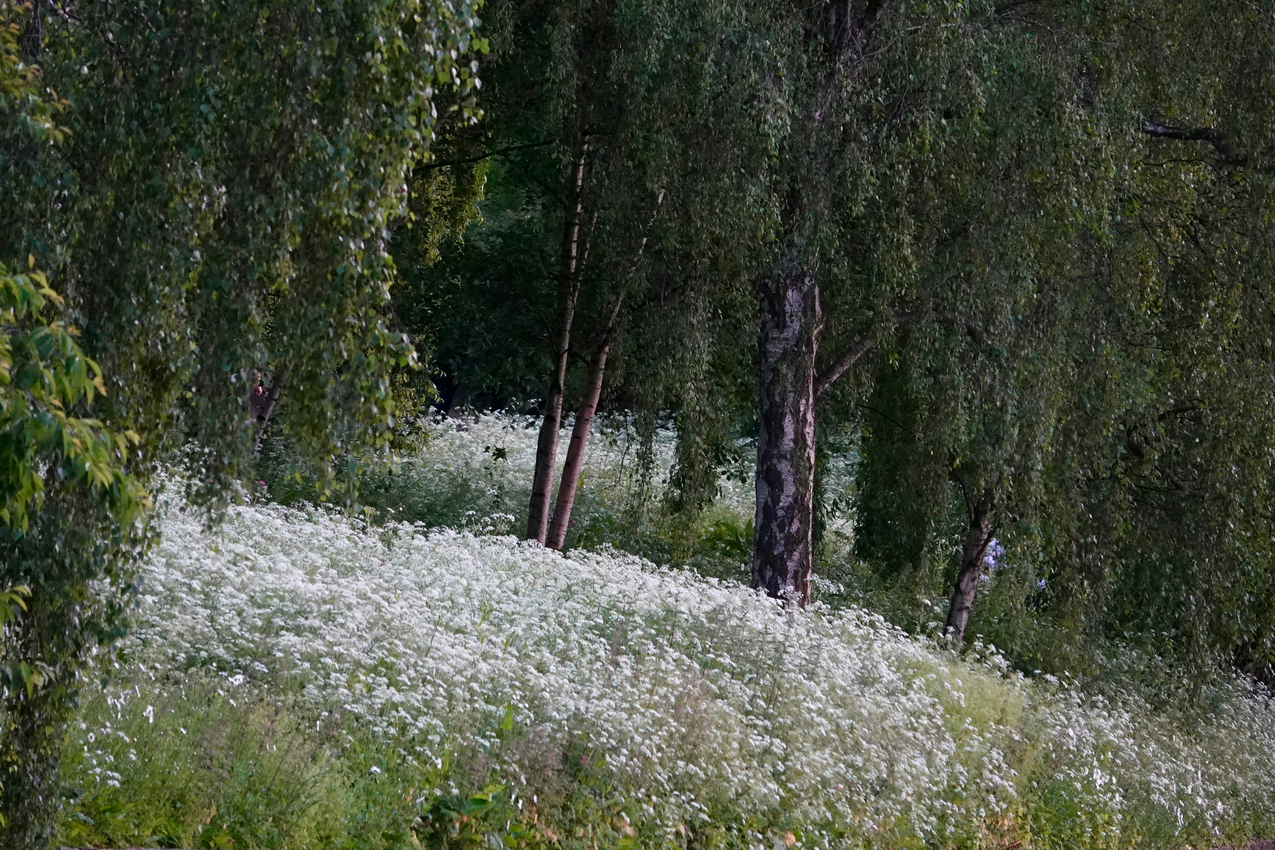 Photo by priyankachechi29