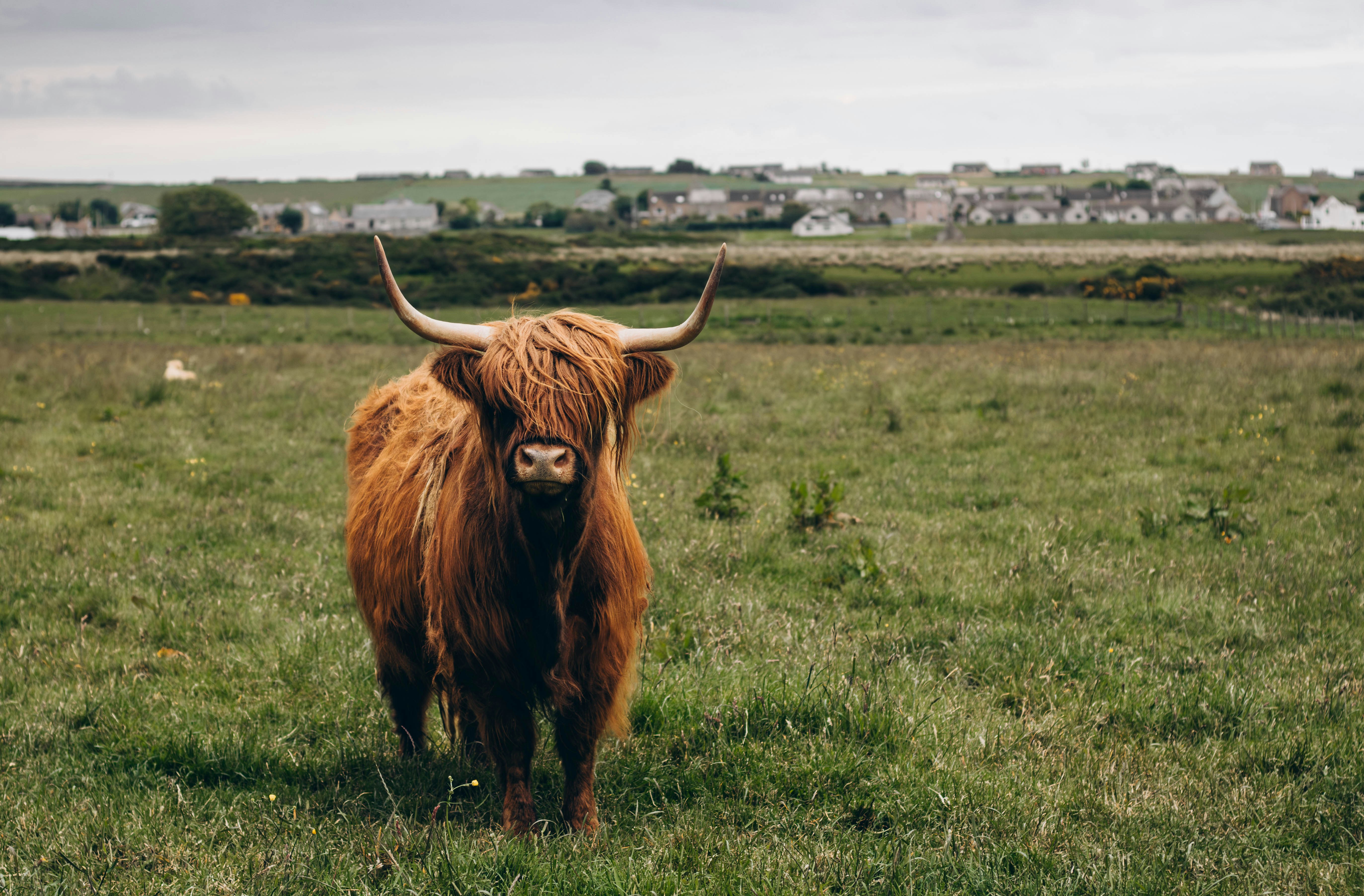 Photo by walkerjporter