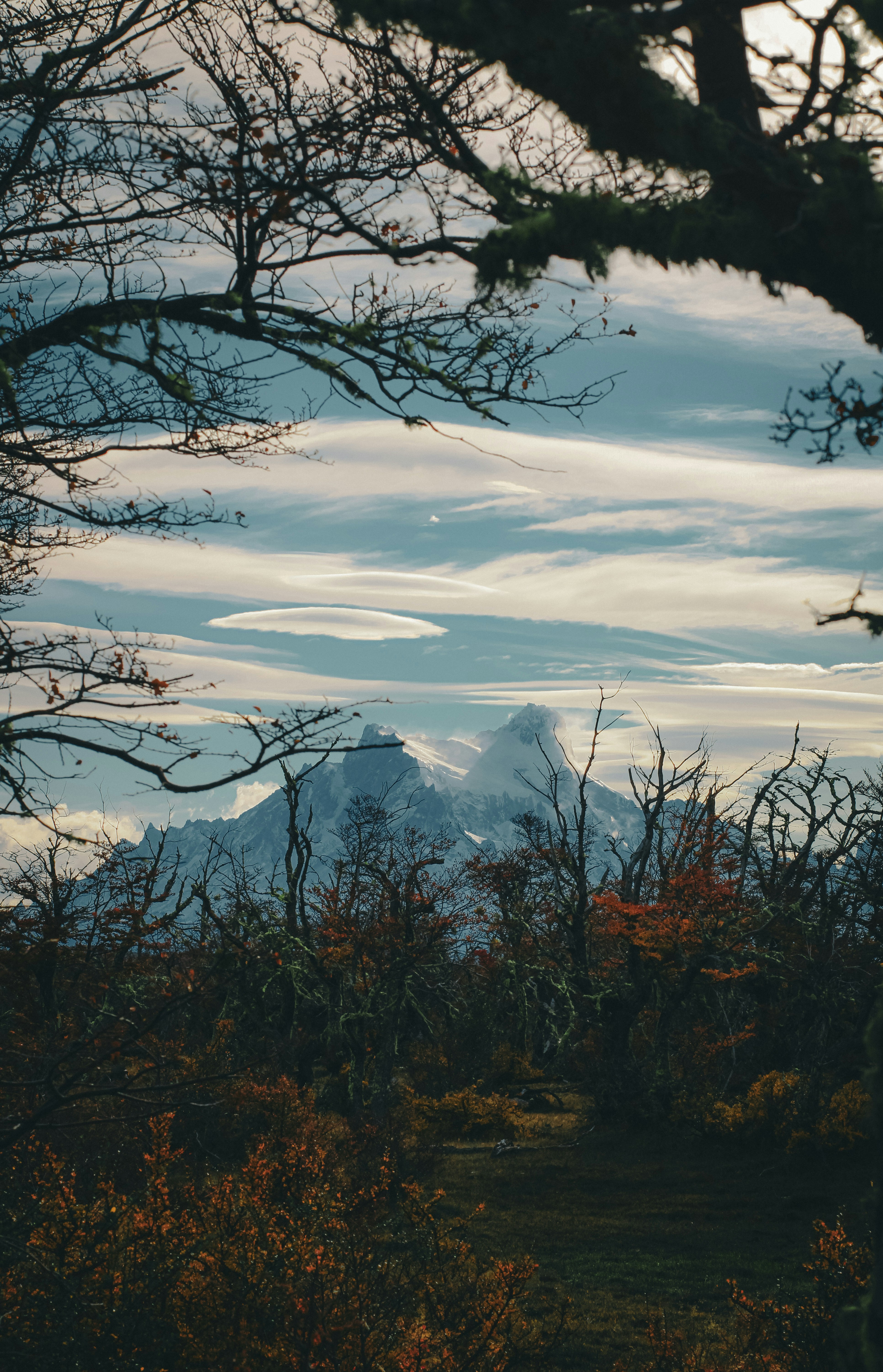 Mountains rise above a forest landscape under a cloudy sky.
