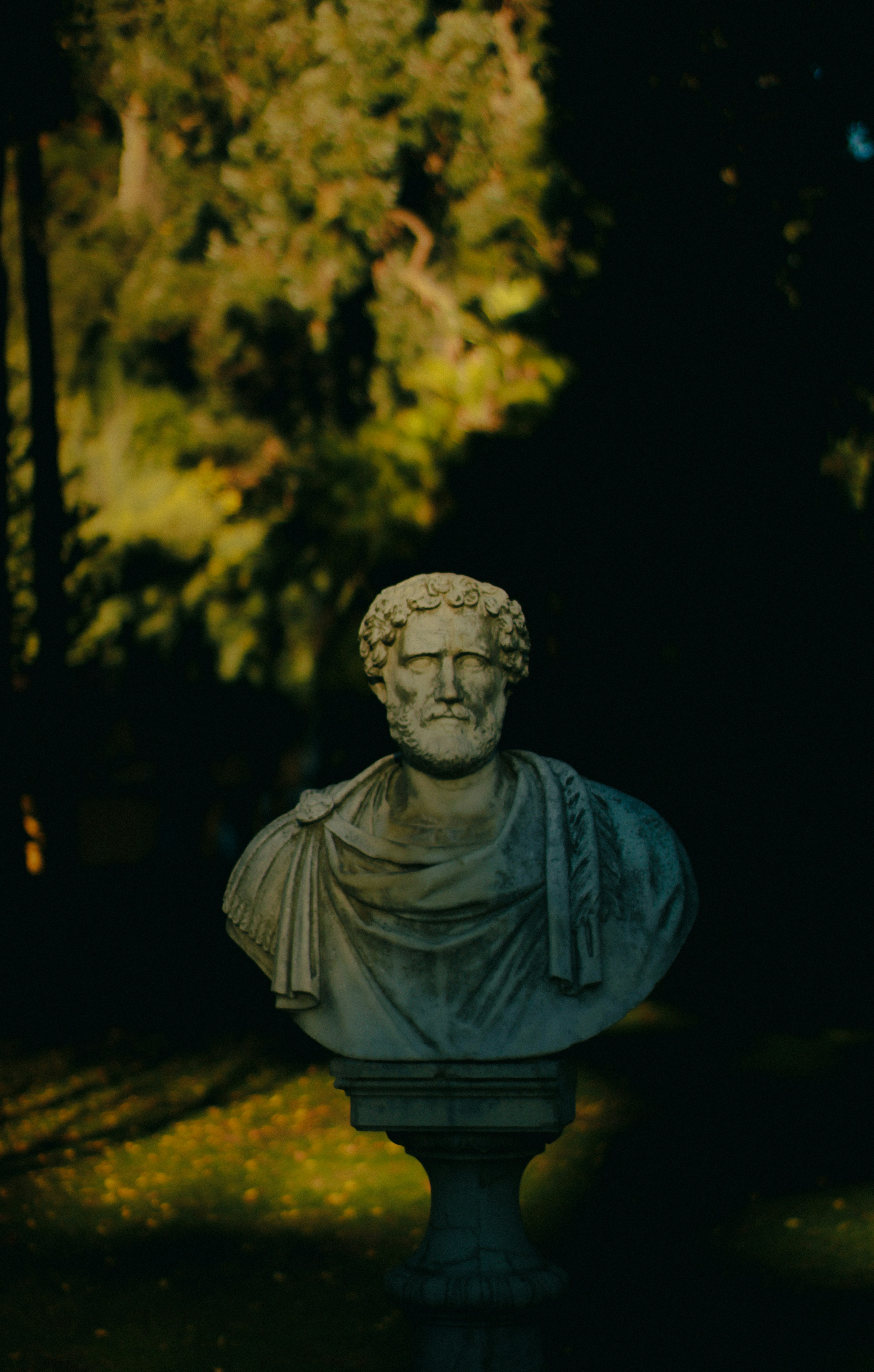 Repost: Goodbye, my friend, for now