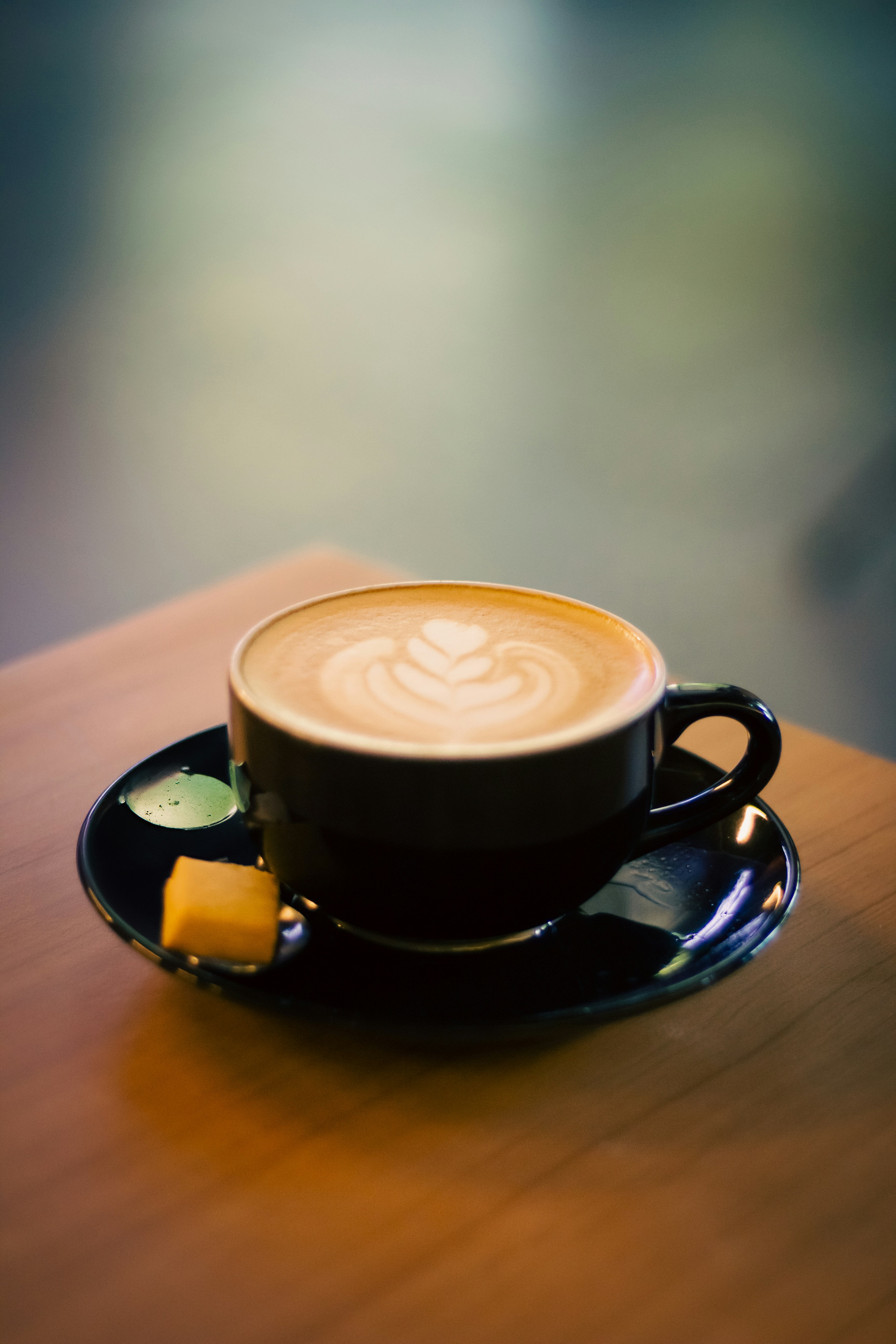 Photo by indraprojects