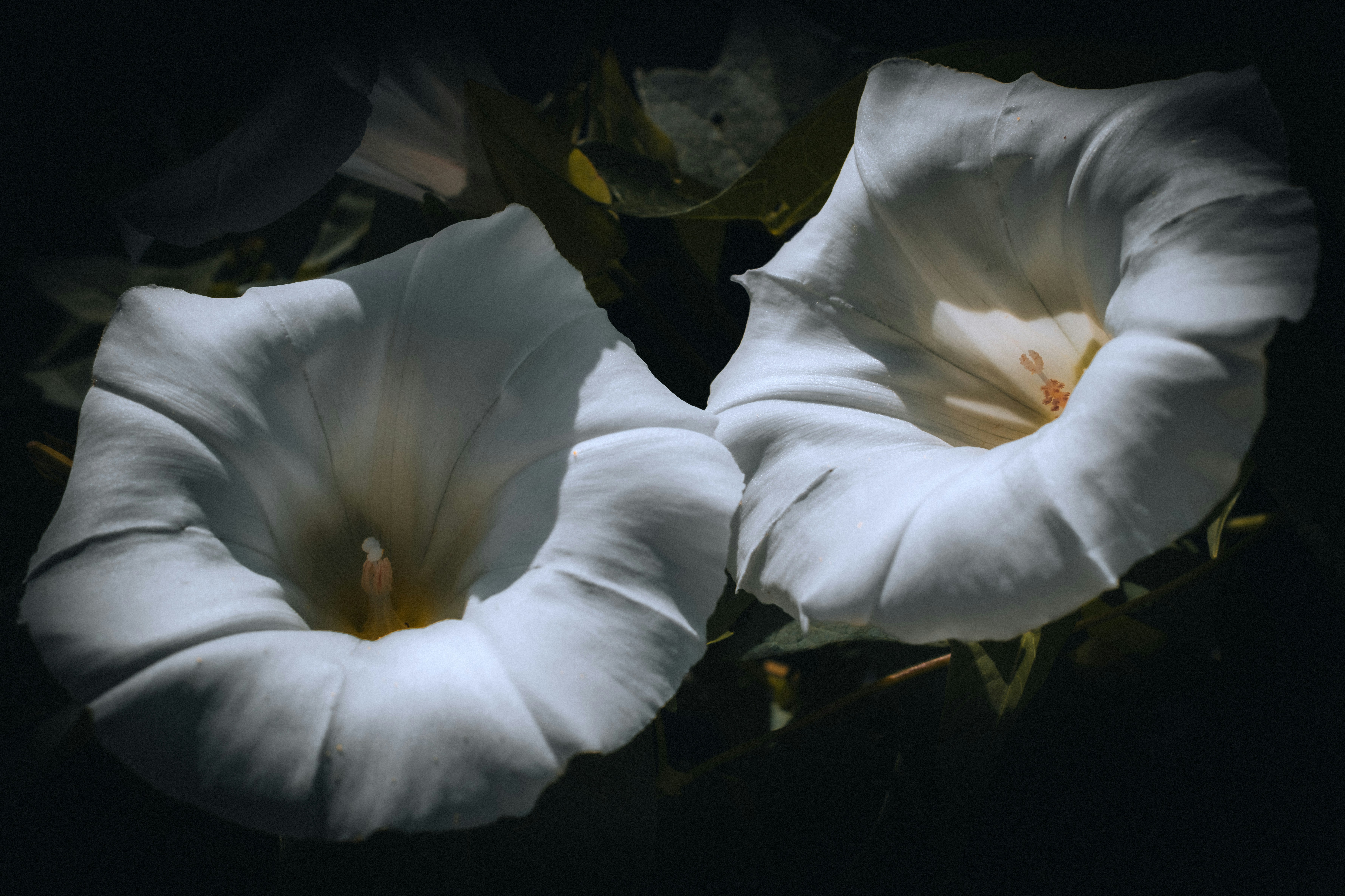 Photo by peterbbryan