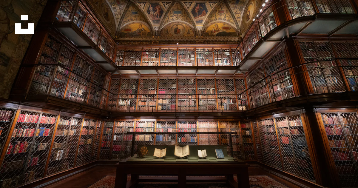 An elegant library shows many books on shelves. photo – Free Wallpaper ...
