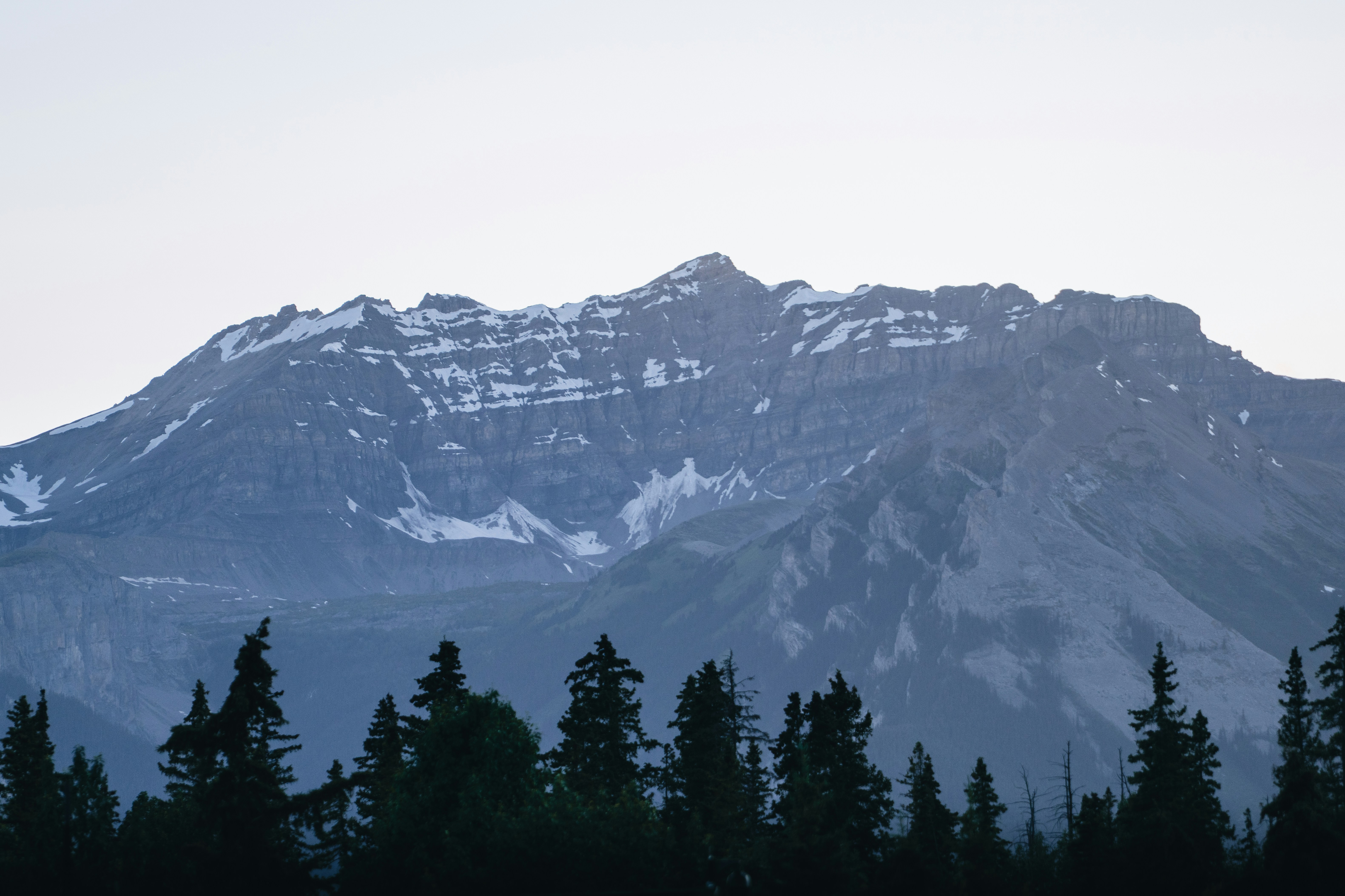 Photo by lifeof_peter_