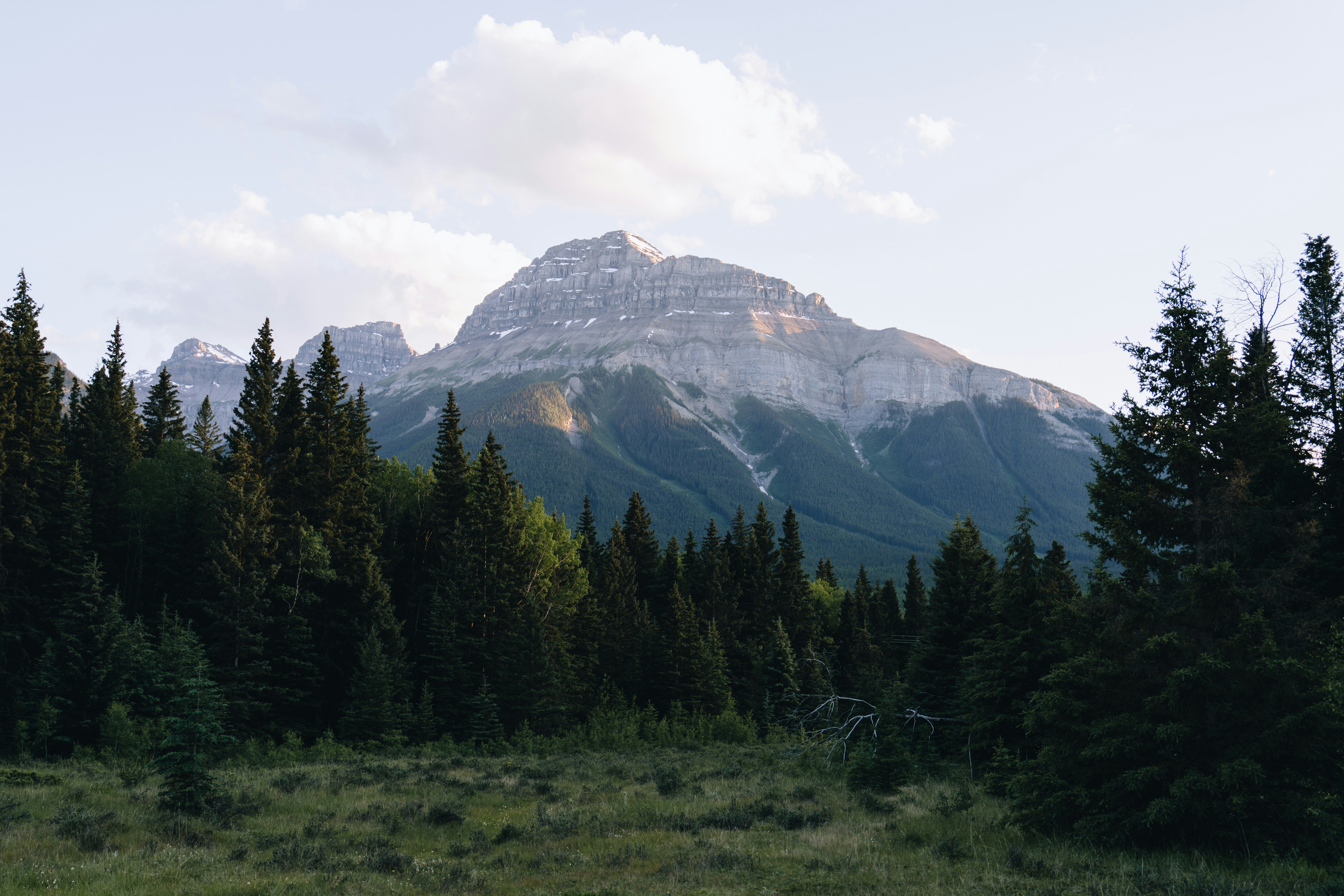 Mountain peak peeking over a lush green forest.