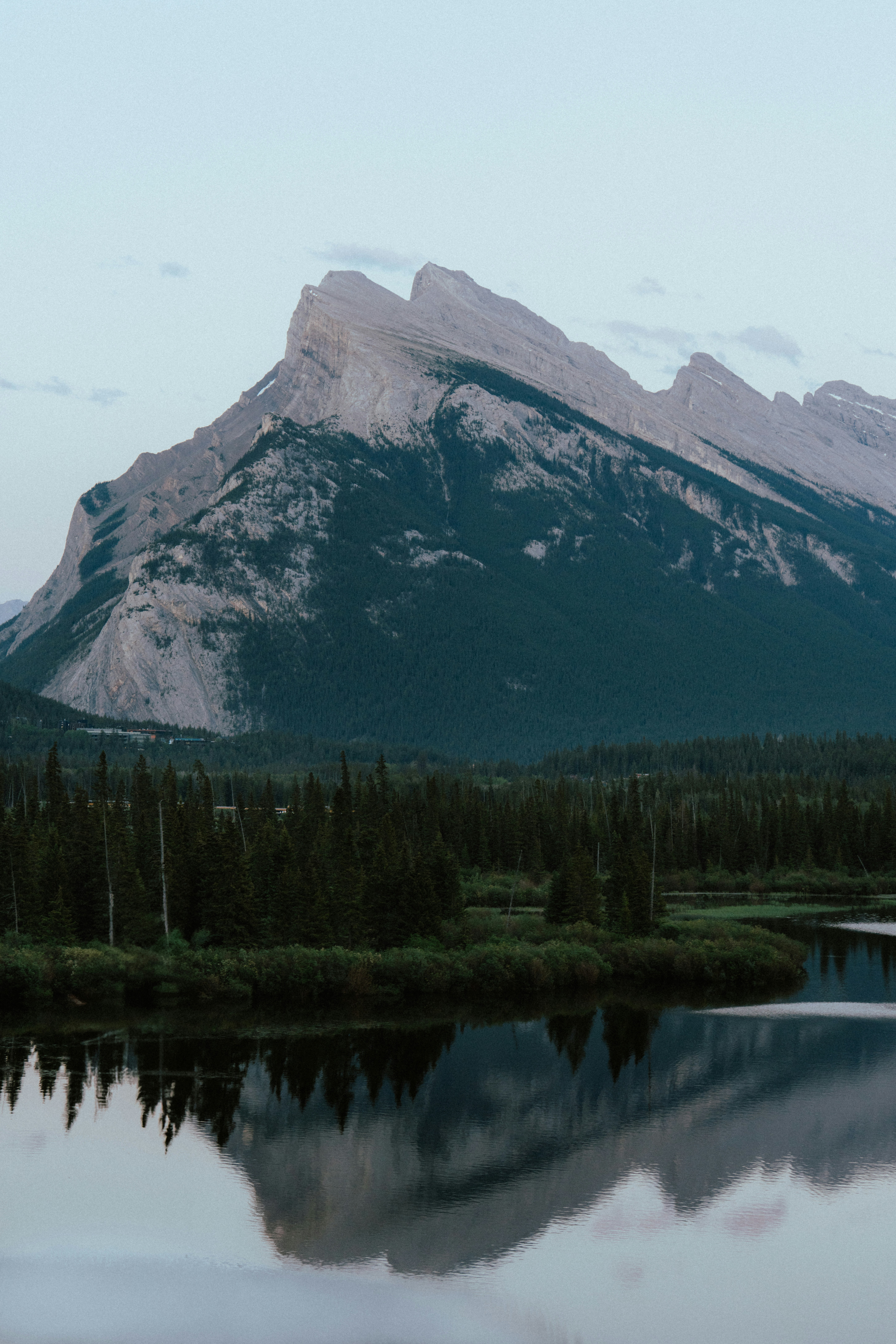 Photo by lifeof_peter_