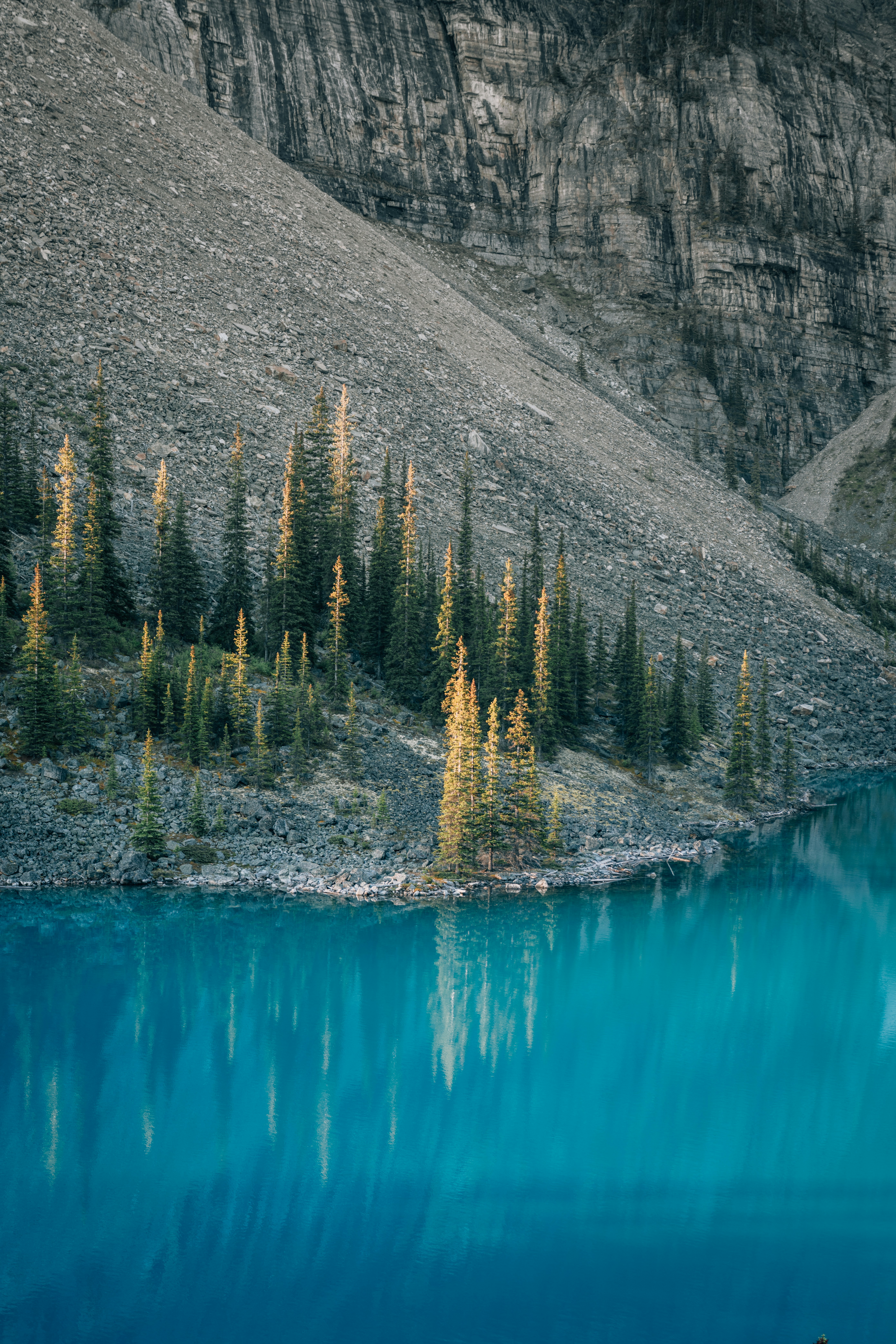 Photo by lifeof_peter_