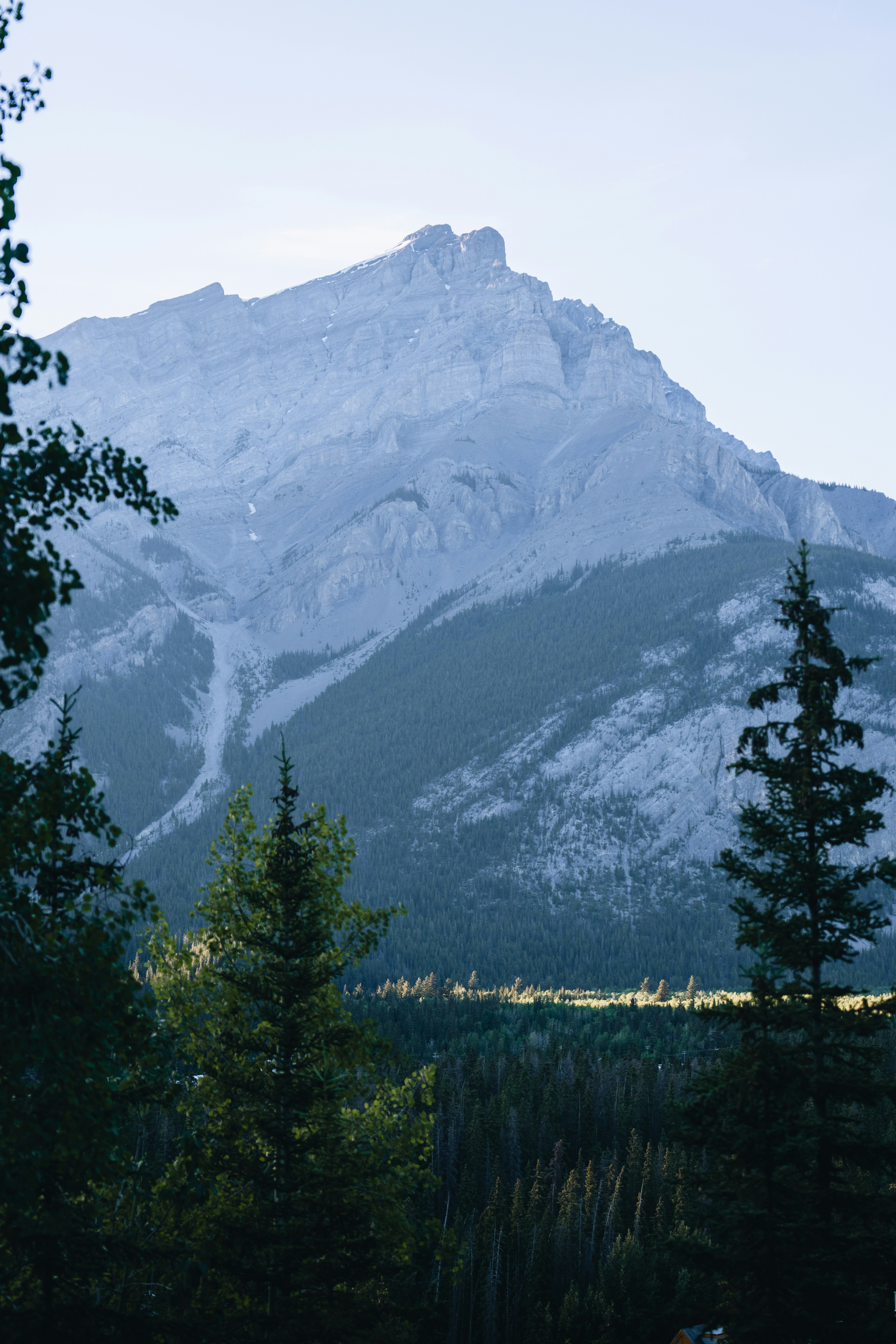 Photo by lifeof_peter_