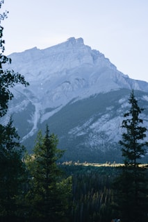 Majestic mountain rises above the evergreen forest.