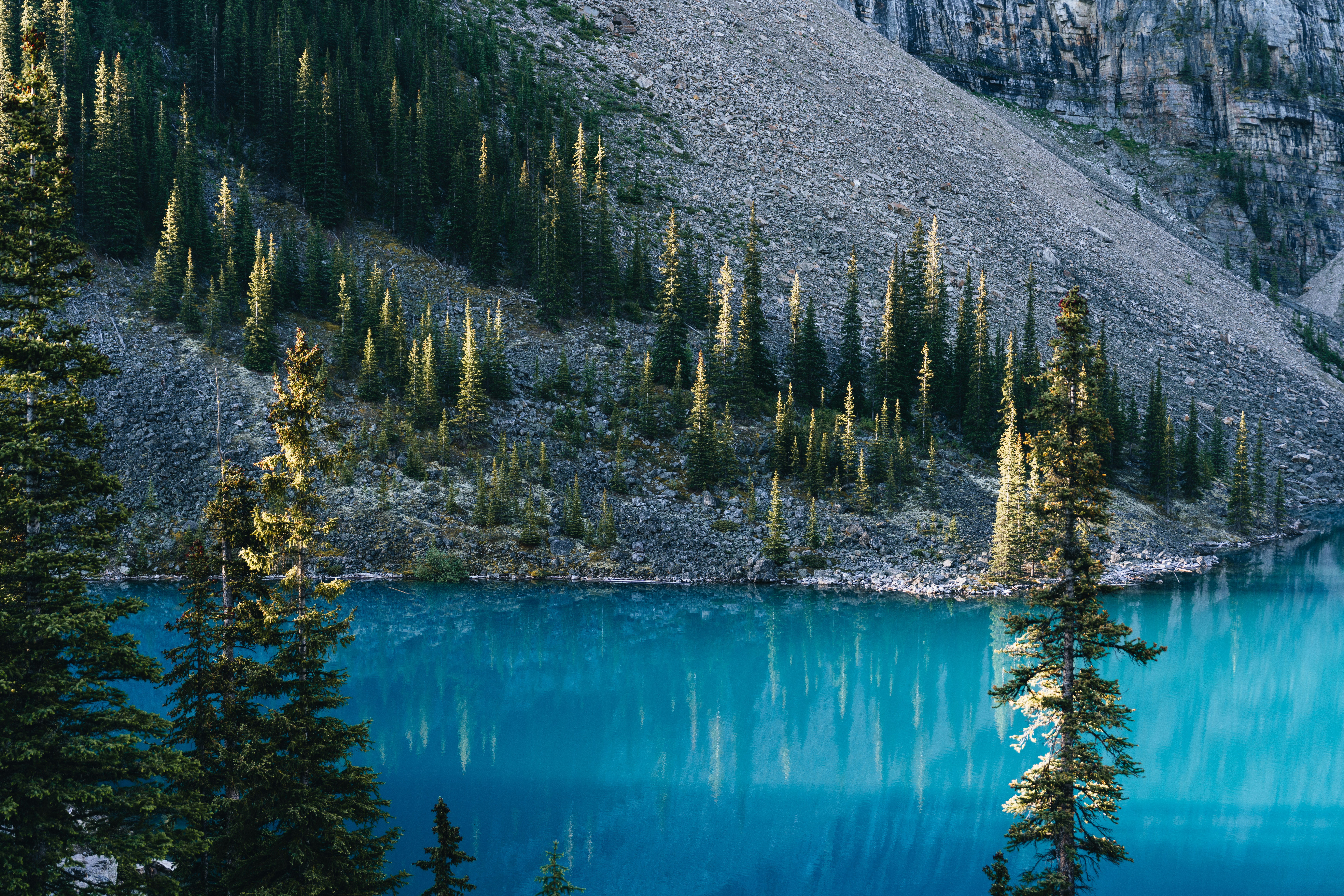 Photo by lifeof_peter_