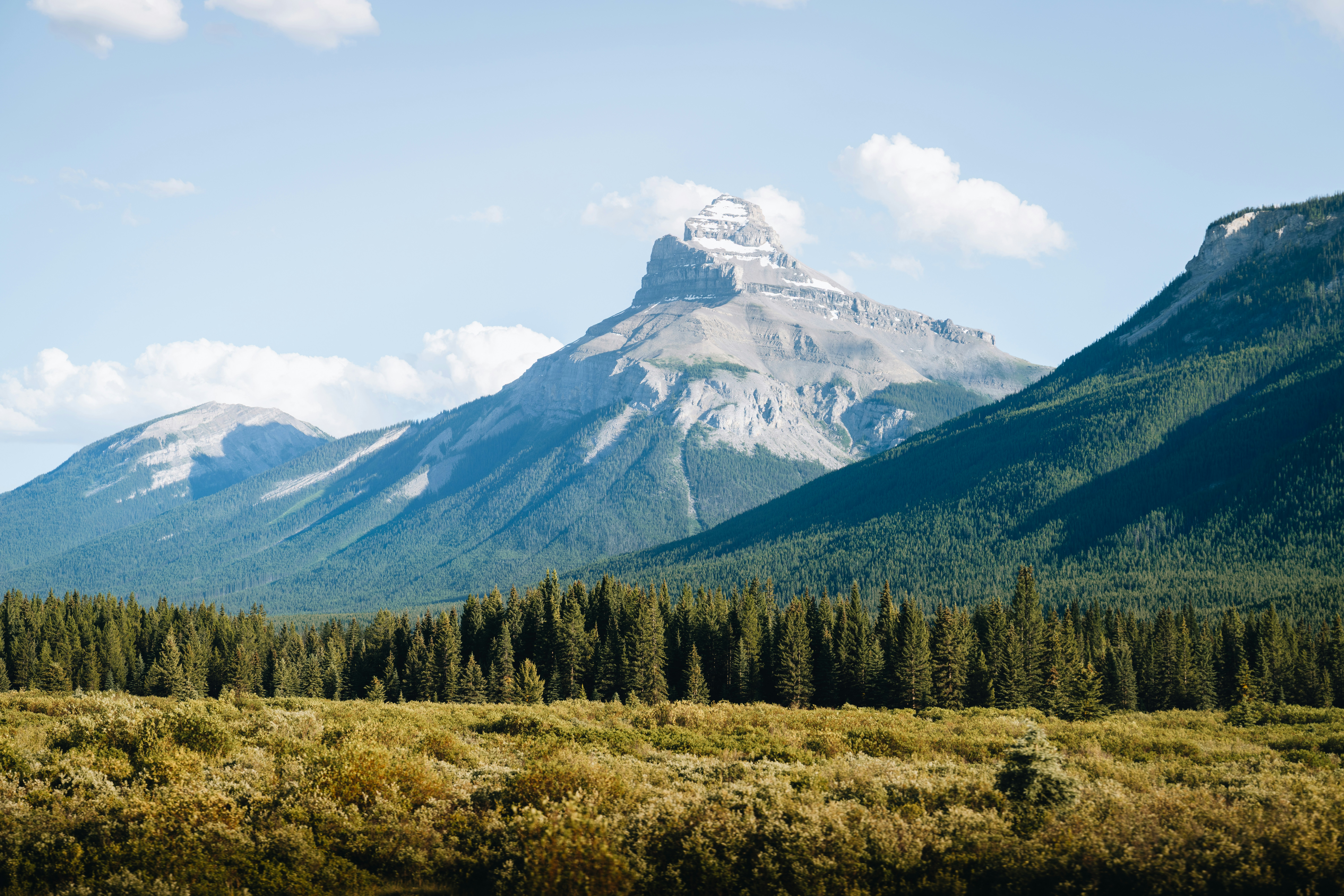 Photo by lifeof_peter_