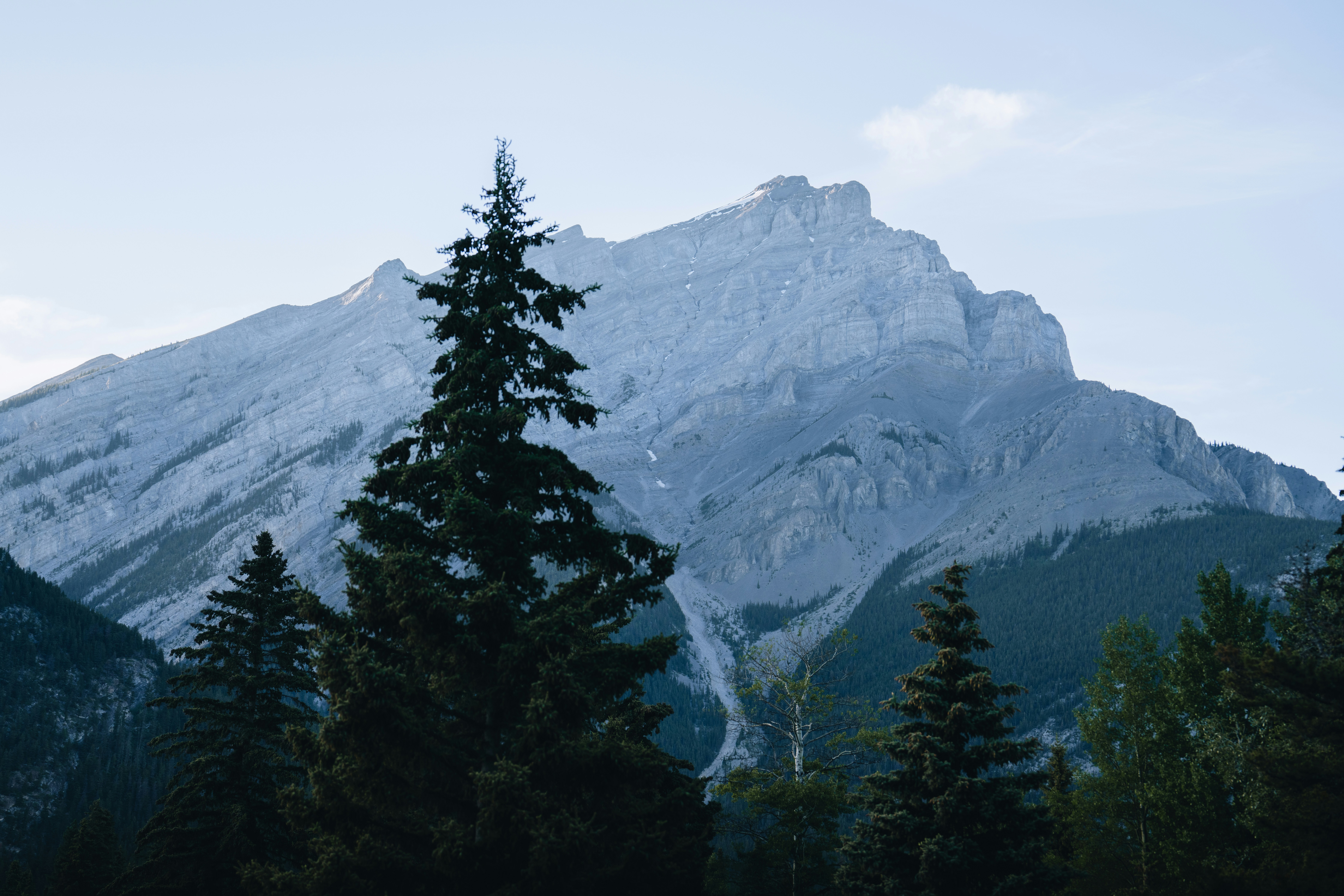 Photo by lifeof_peter_