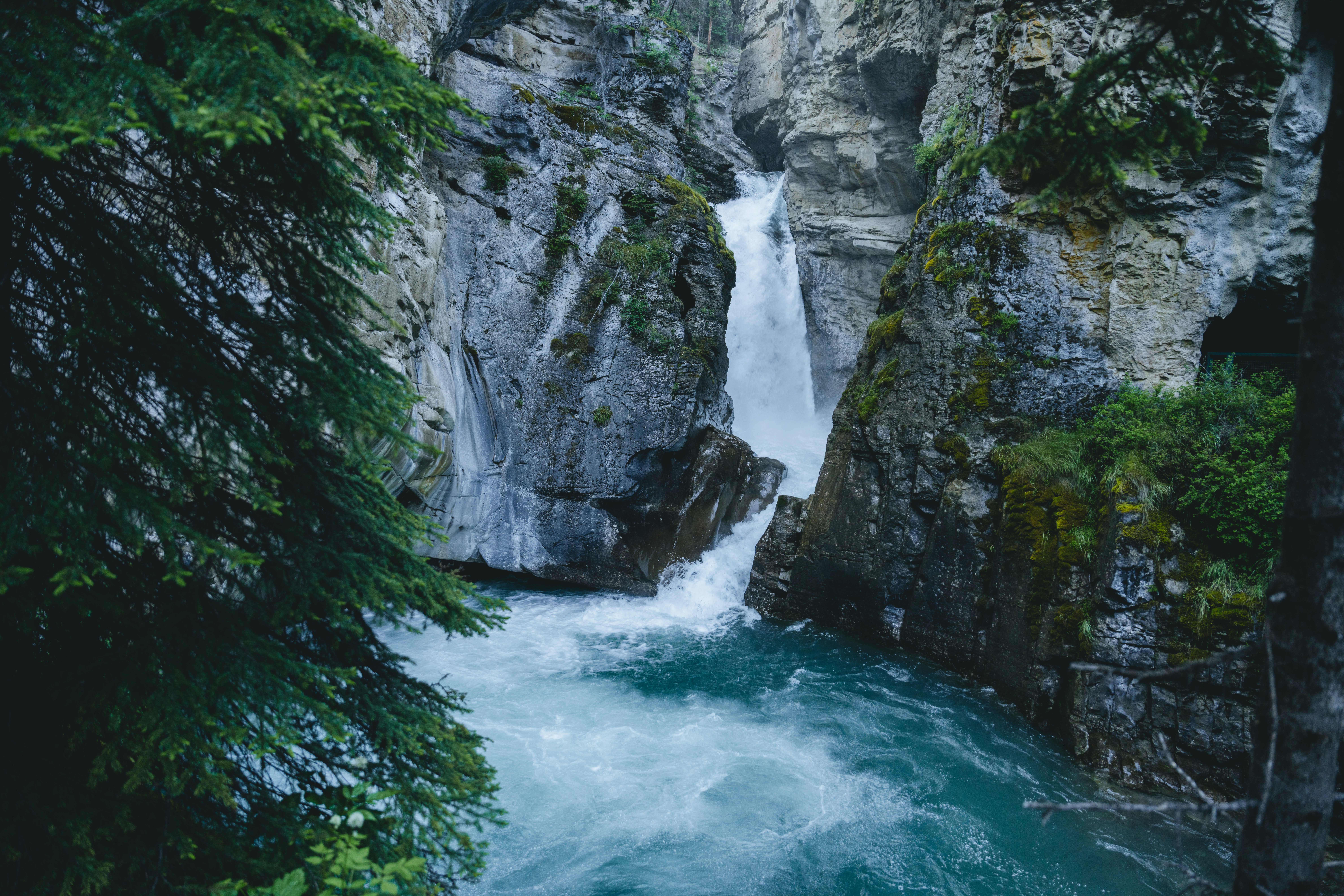 Photo by lifeof_peter_