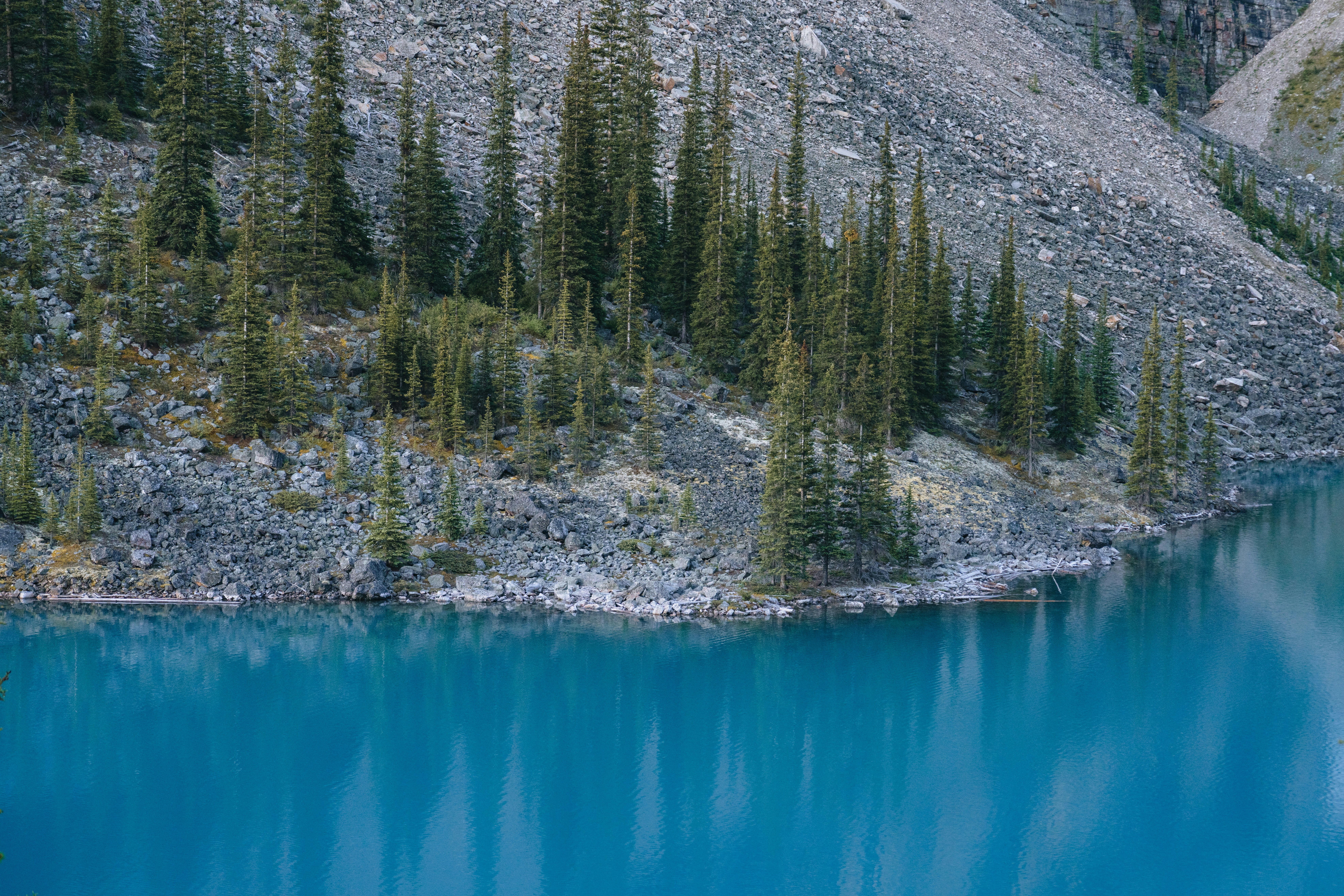 Photo by lifeof_peter_