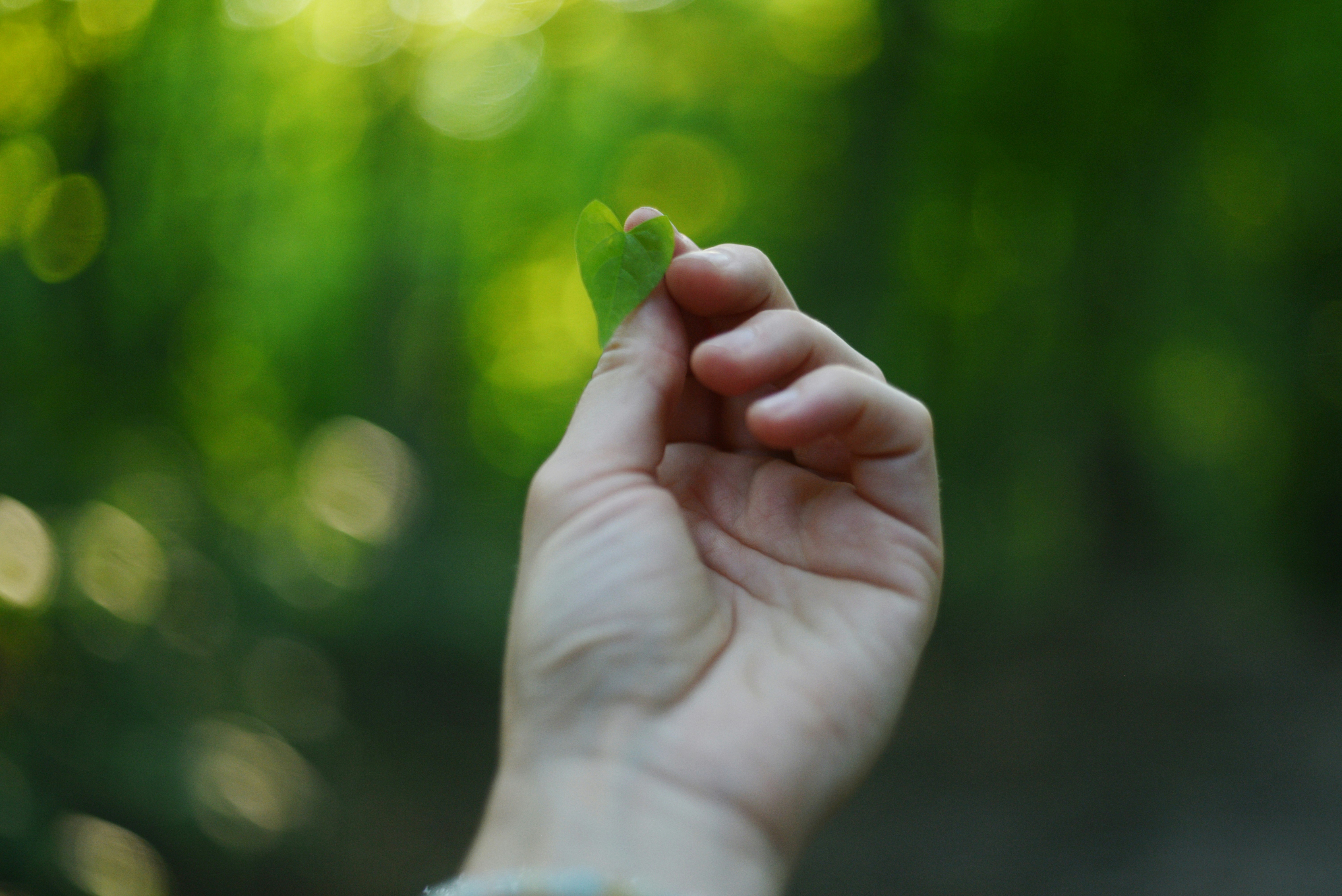 Photo by cherstve_pechivo