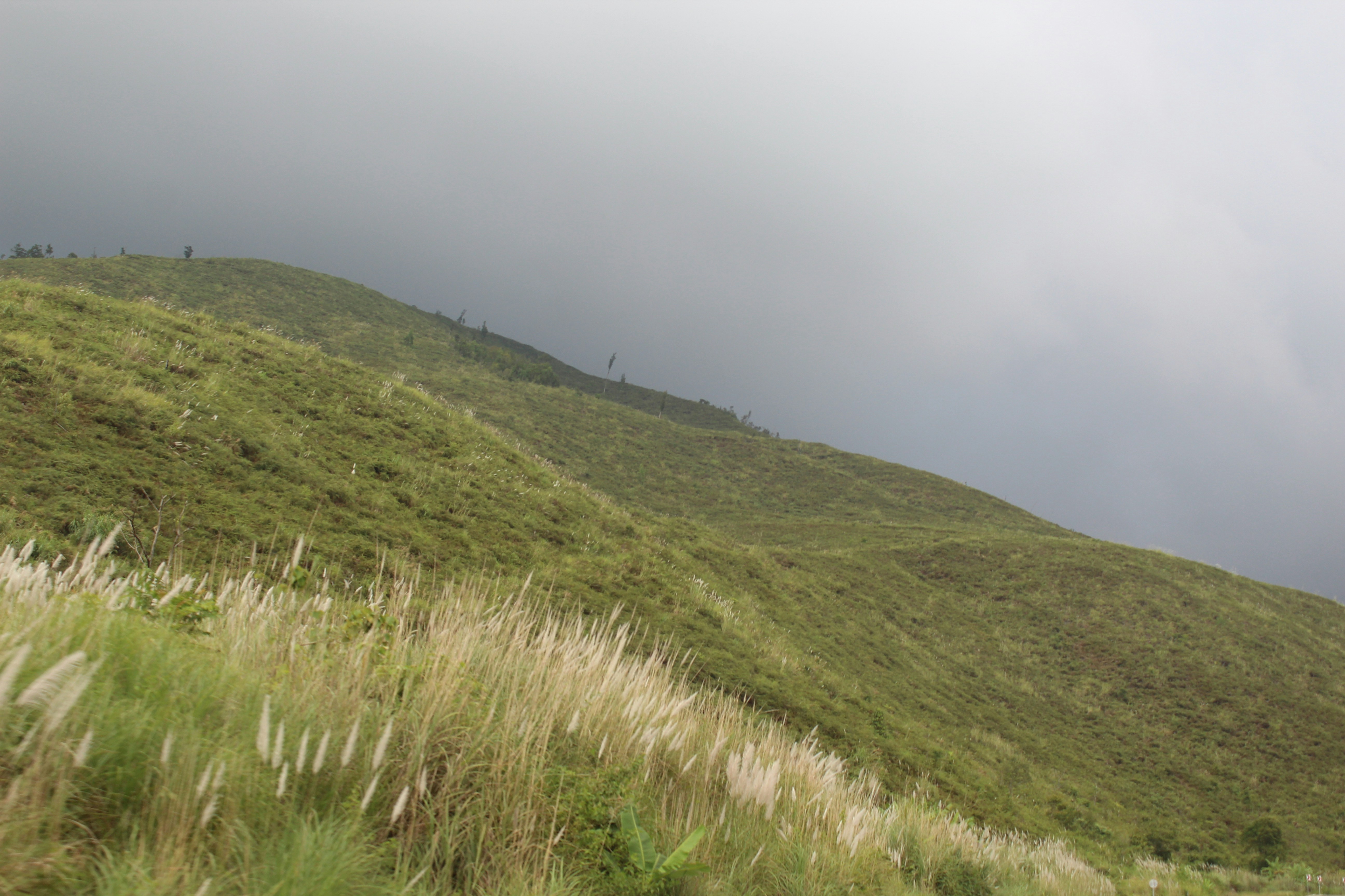 Photo by russellphotograpy