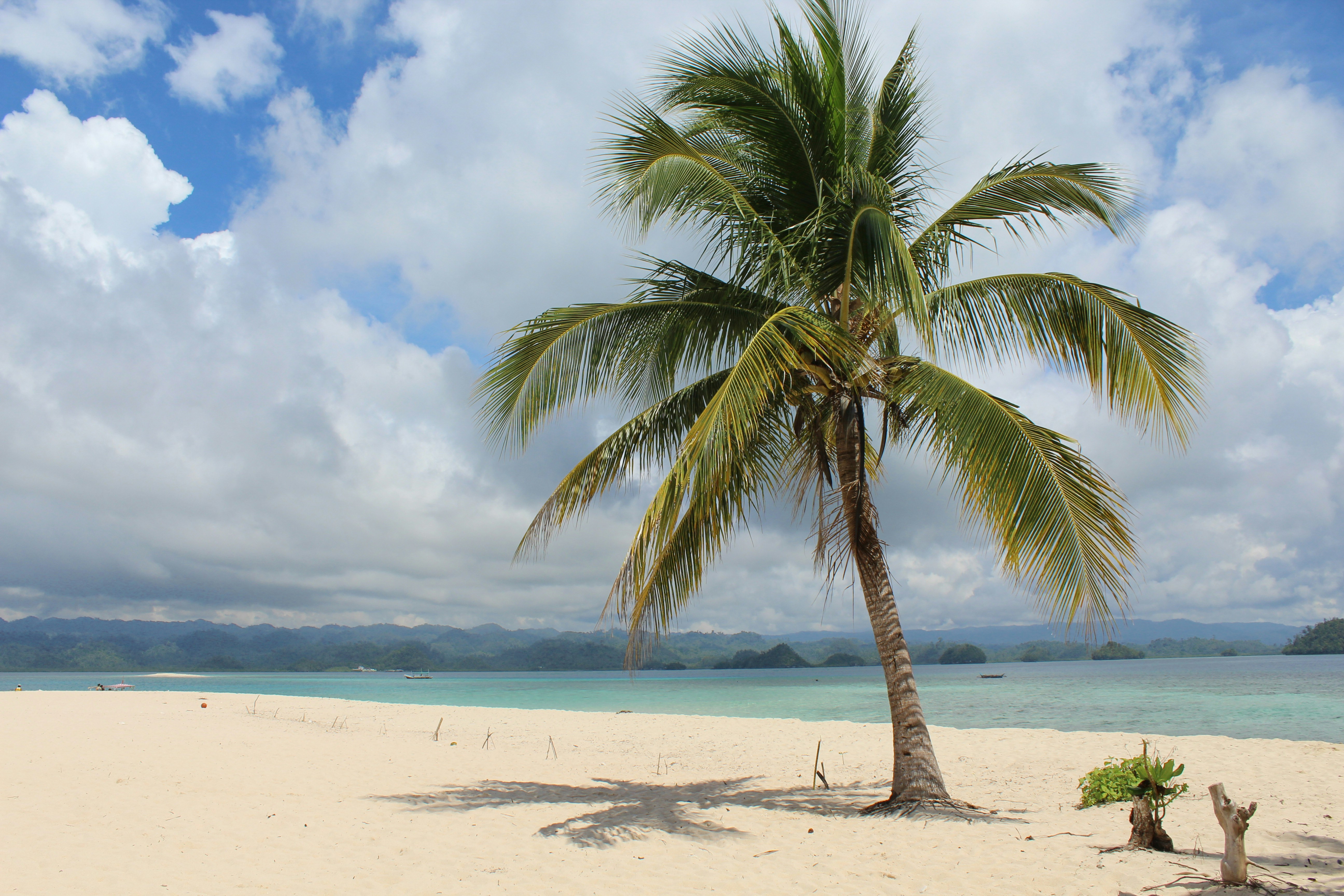 Photo by russellphotograpy