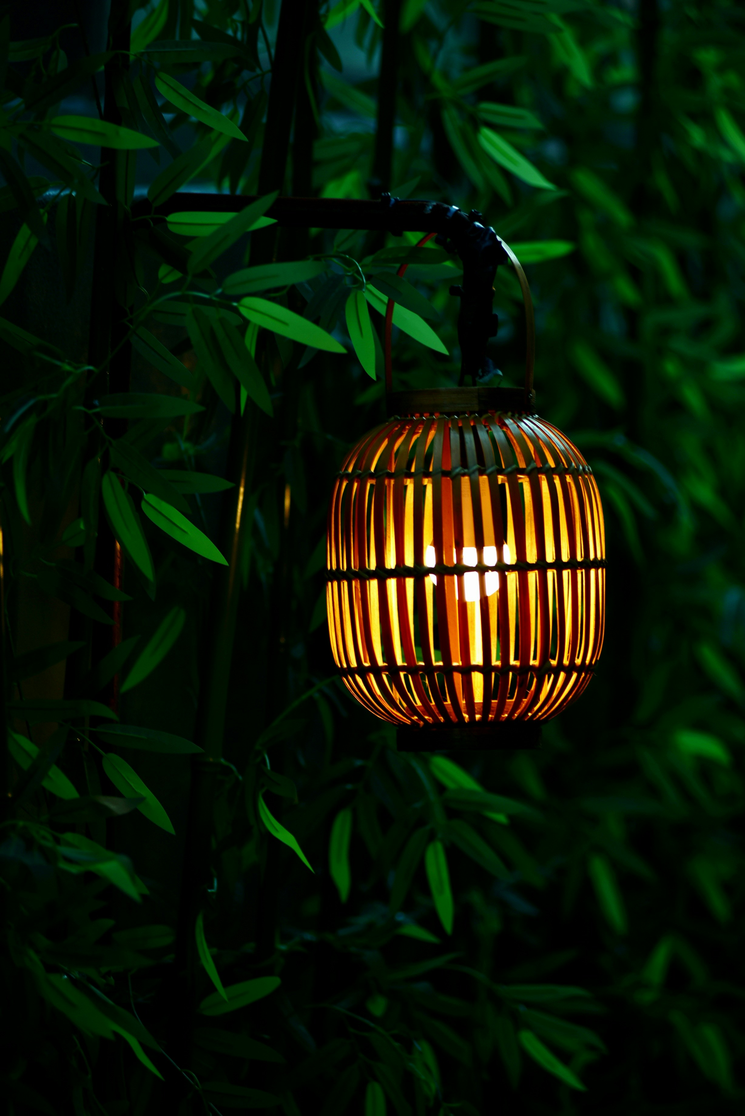 Photo by memenito_96