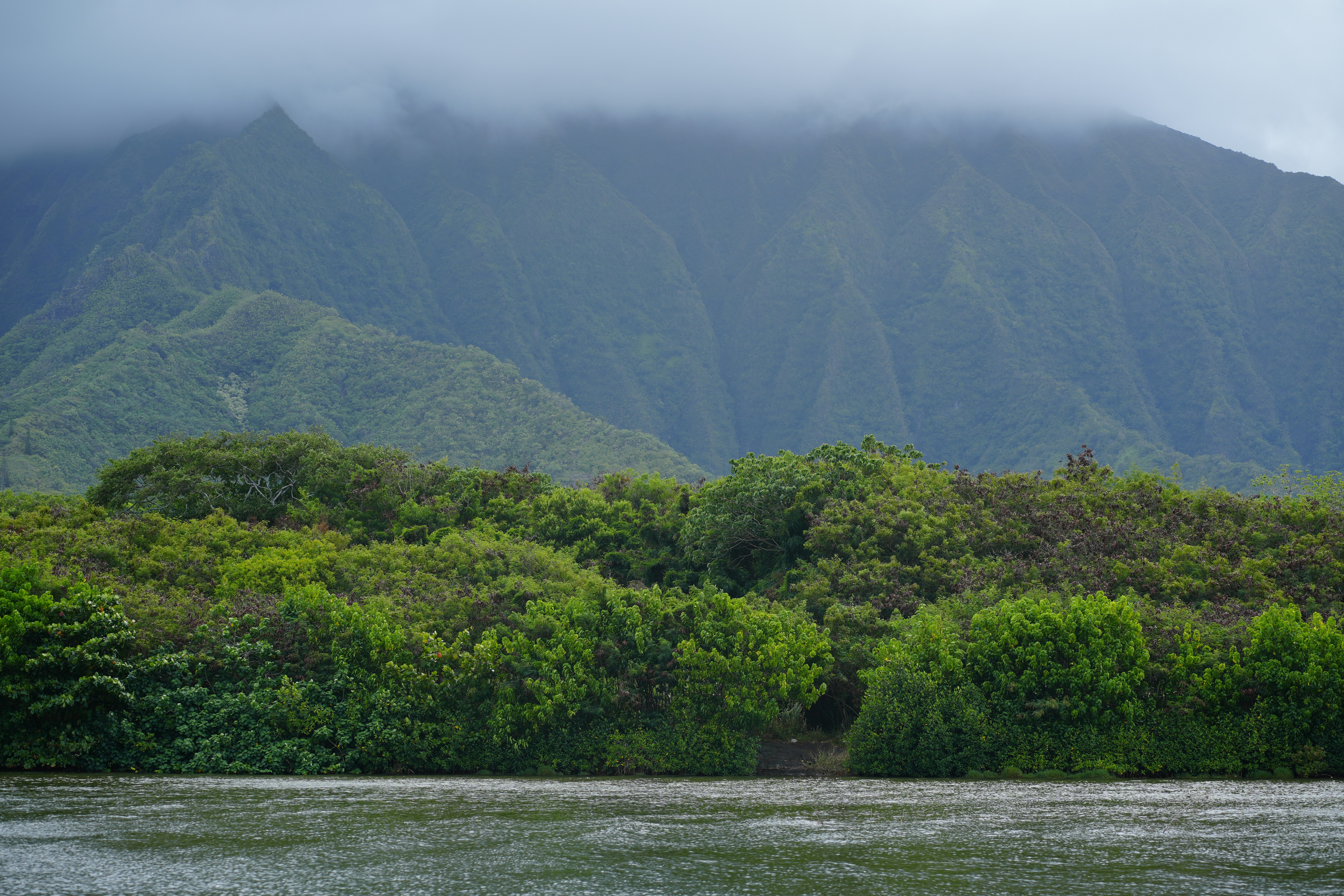 Photo by ilonapurdes