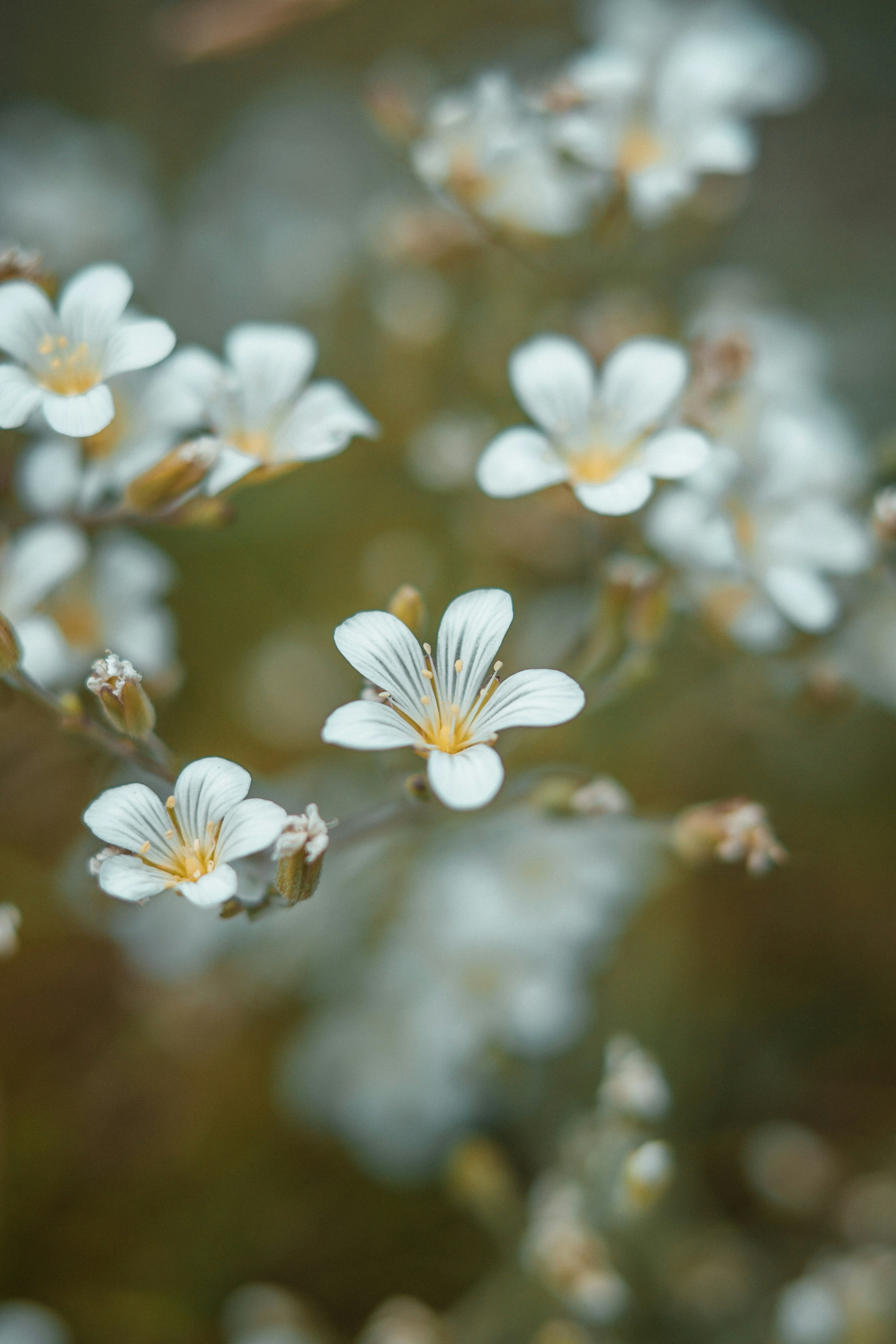 Photo by anamnesis33